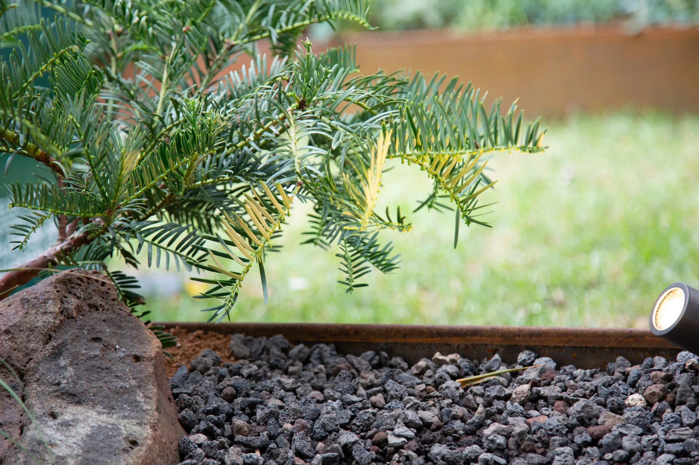 MIFGS_2026_Border Gardens-503.webp