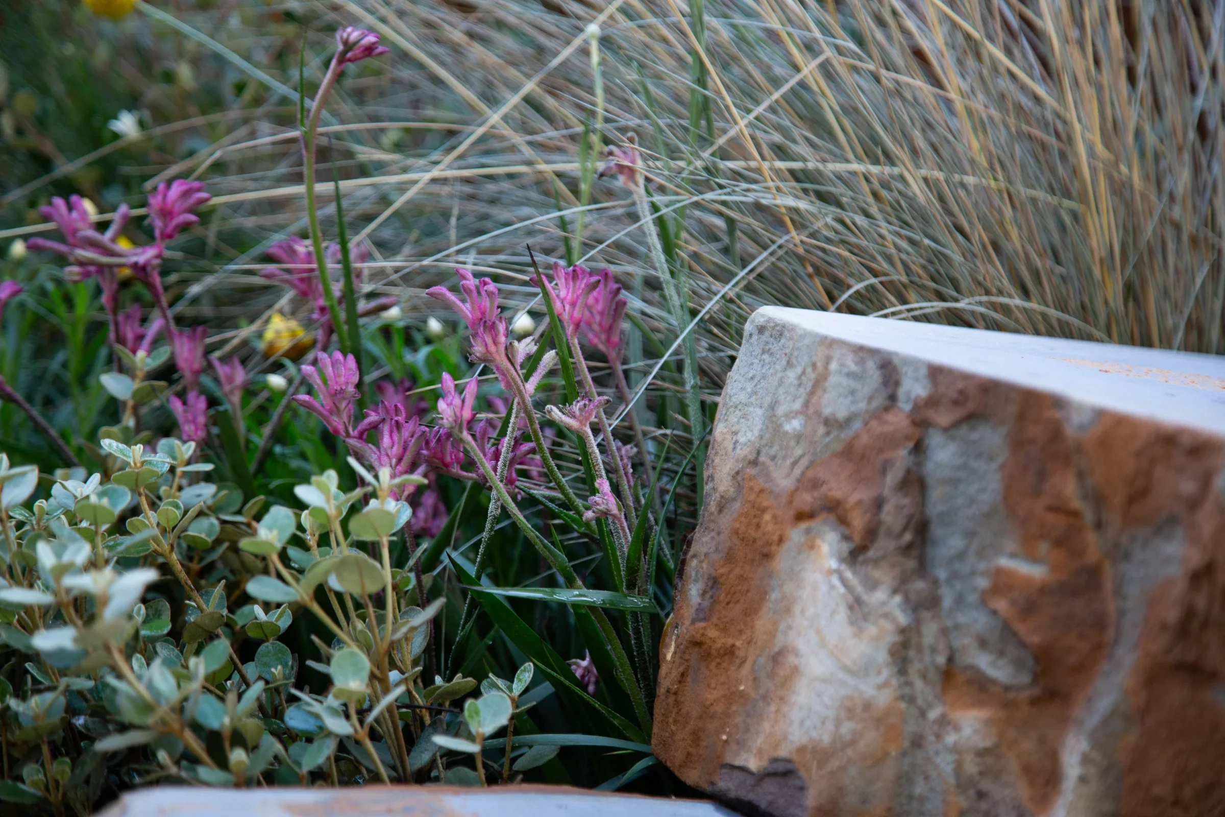 MIFGS_2026_Boutique Garden-29.webp