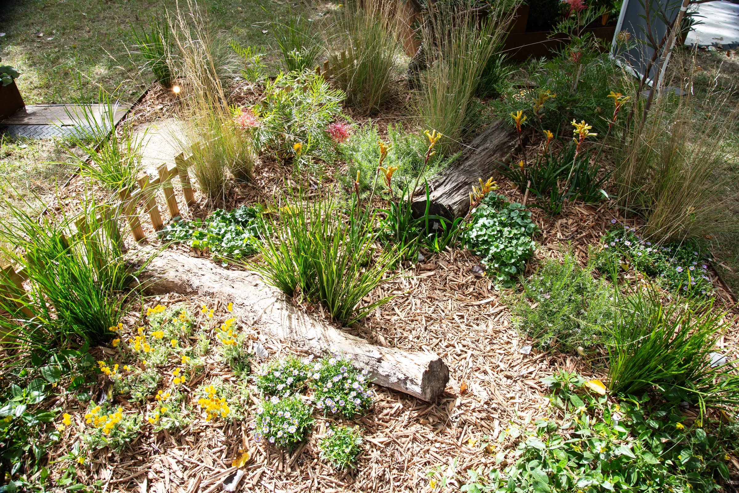 A Contrasting Picture by Daniel Iannou of City of Darebin