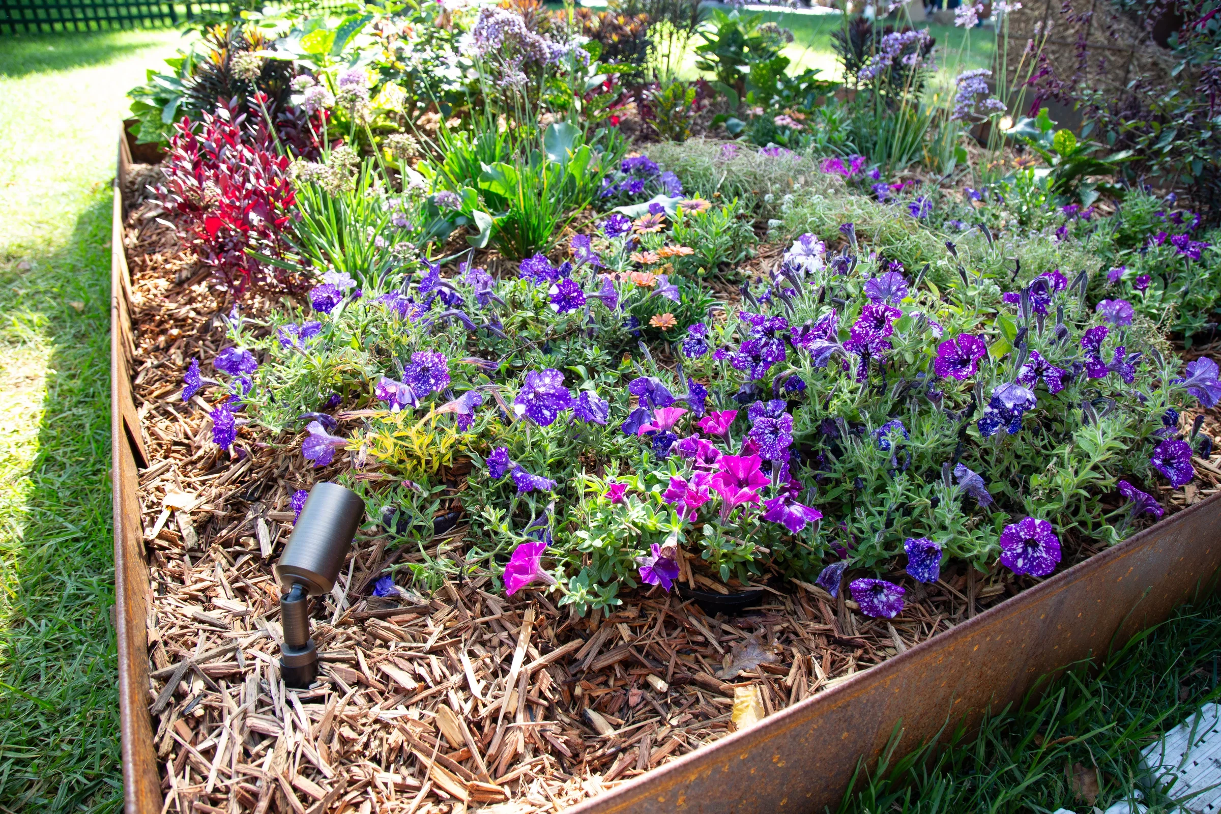 Galaxia by Katherine Gatchkevitich Sepulveda