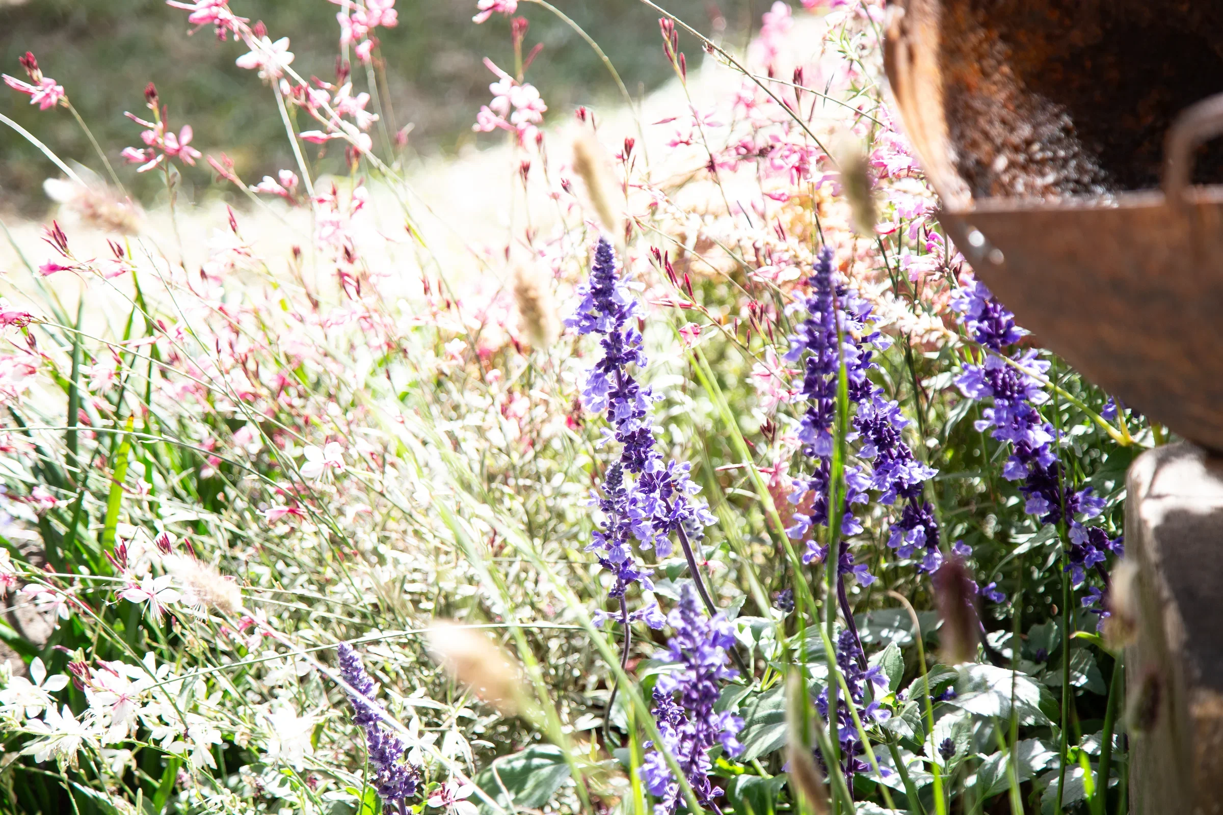 2nd Place — Look Within by Amy Fisher