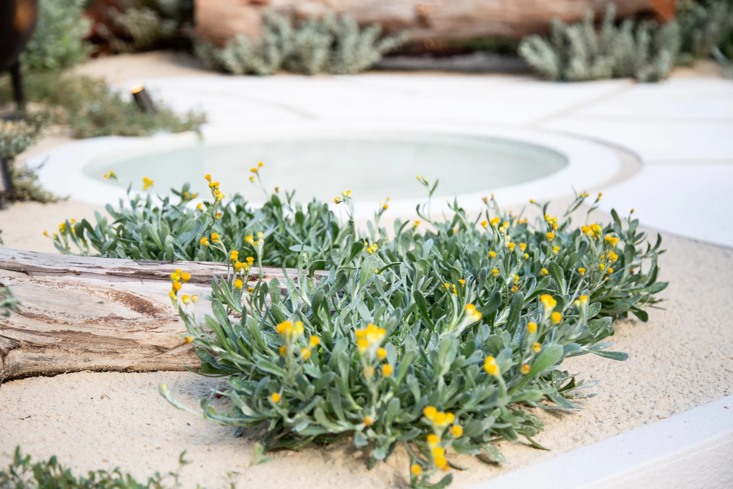 MIFGS_2026_Sunset Over Salt Lake-69.webp