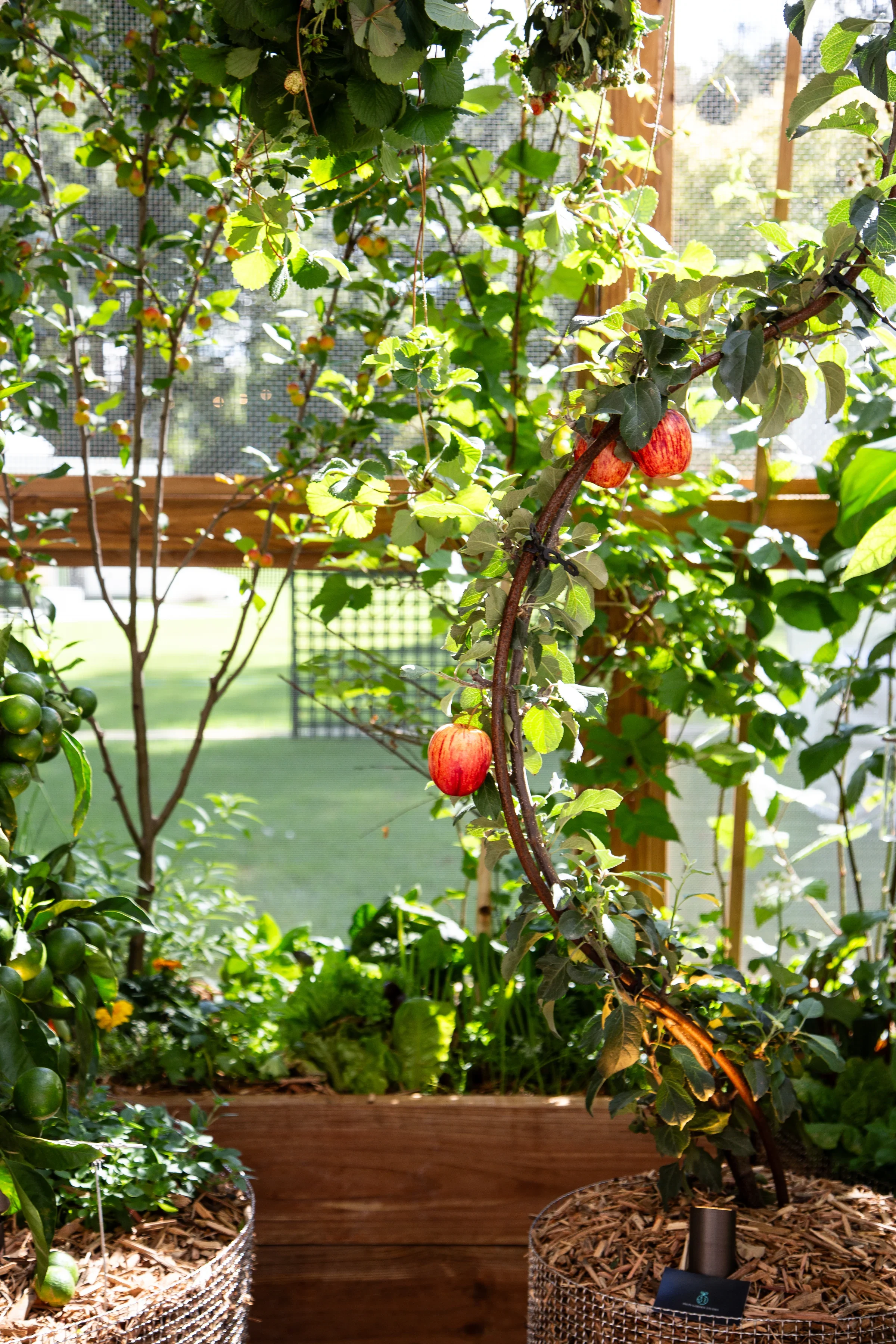  Lucky Garden Block by Axon Garden Studio