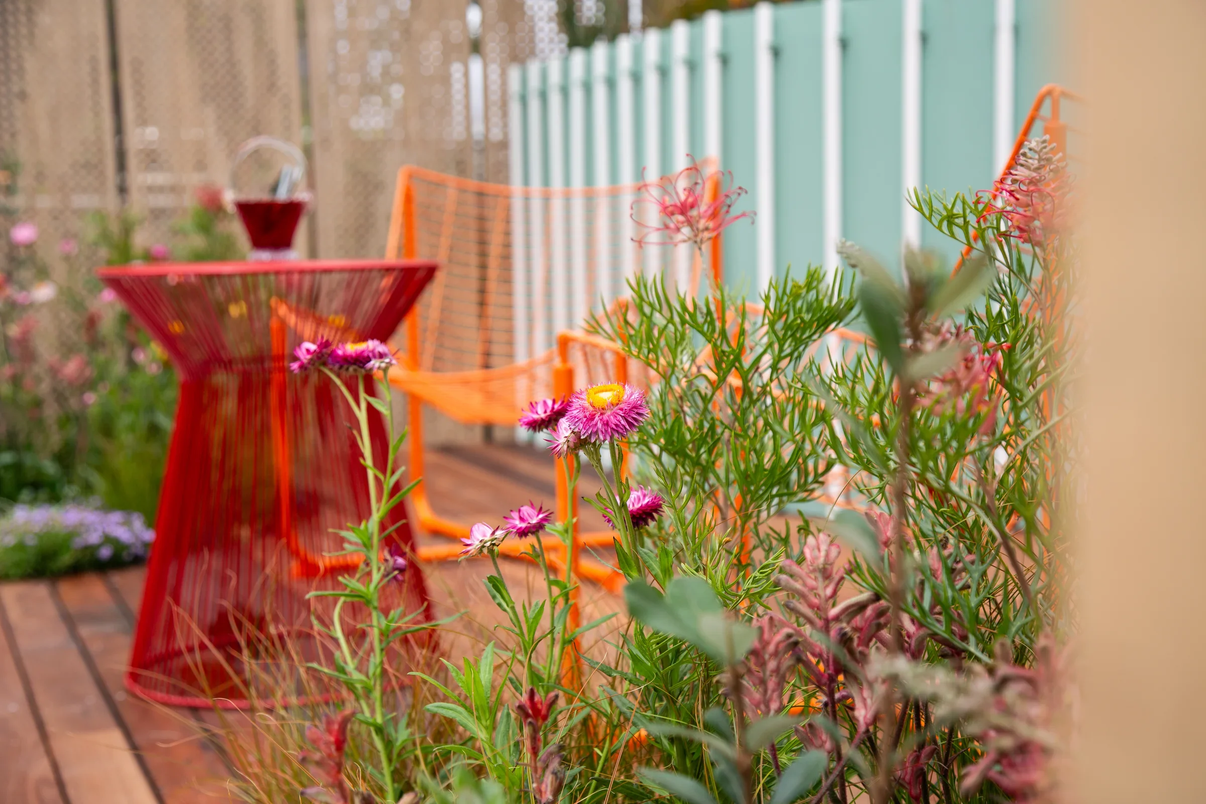 MIFGS_2026_Oasis in the Sky-35.webp