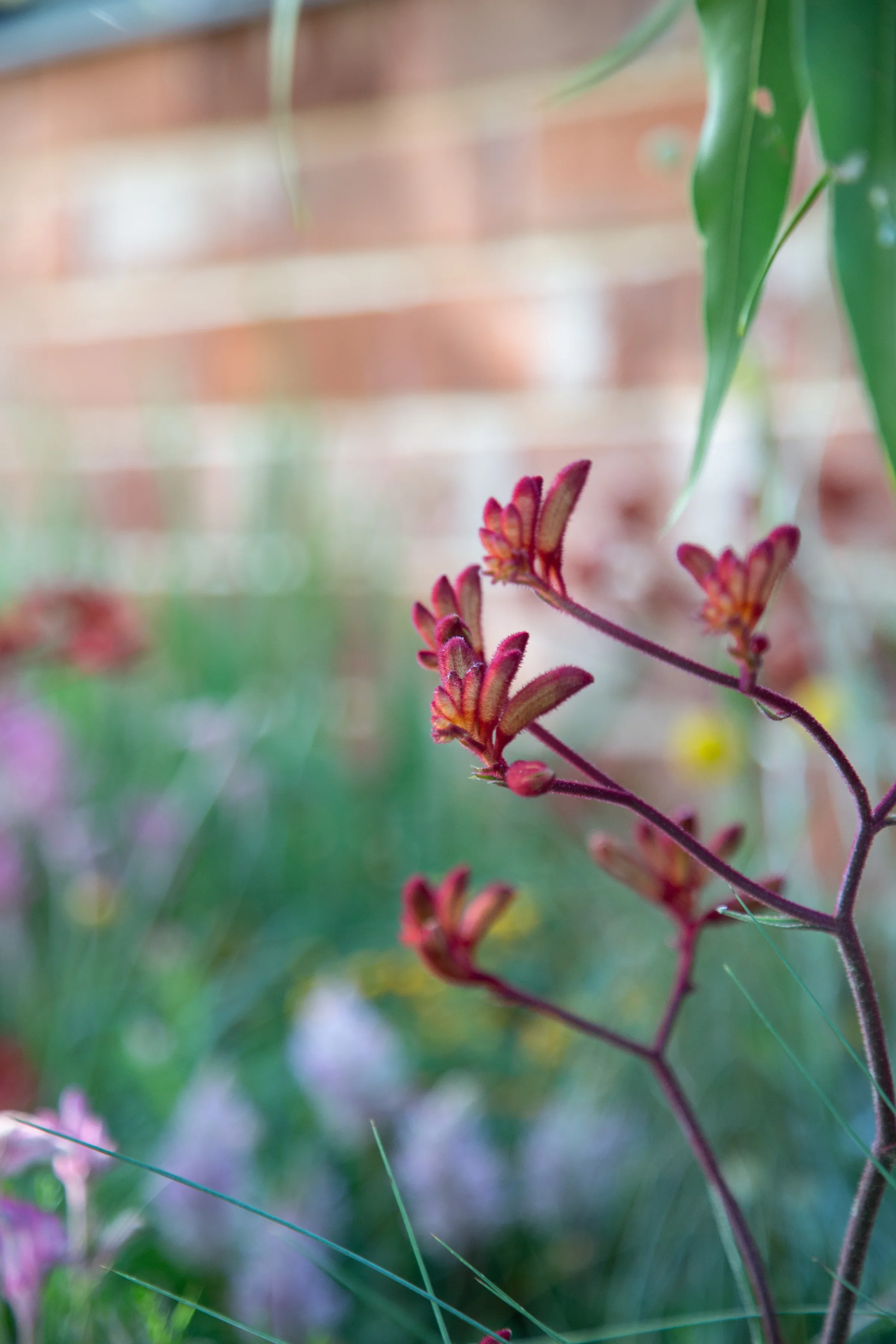 MIFGS_2026_Boutique Garden-64.webp