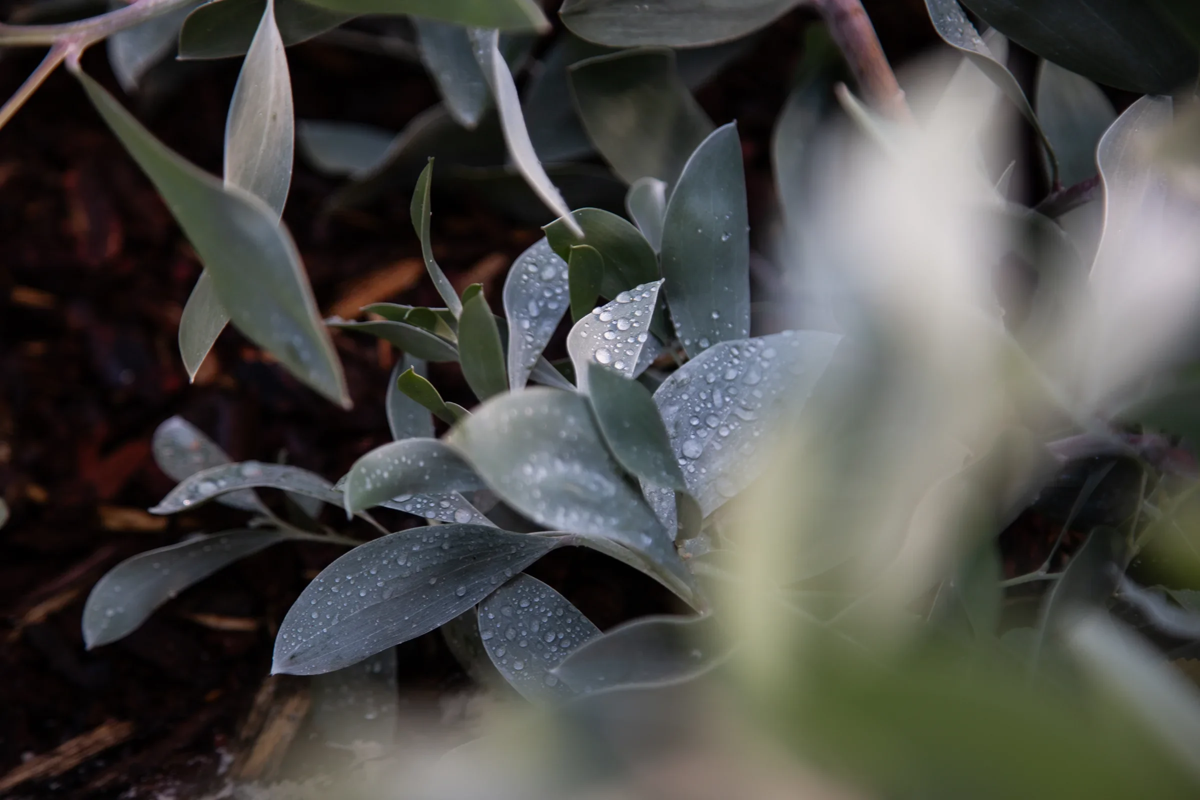 MIFGS_2026_Sunset Over Salt Lake-49.webp