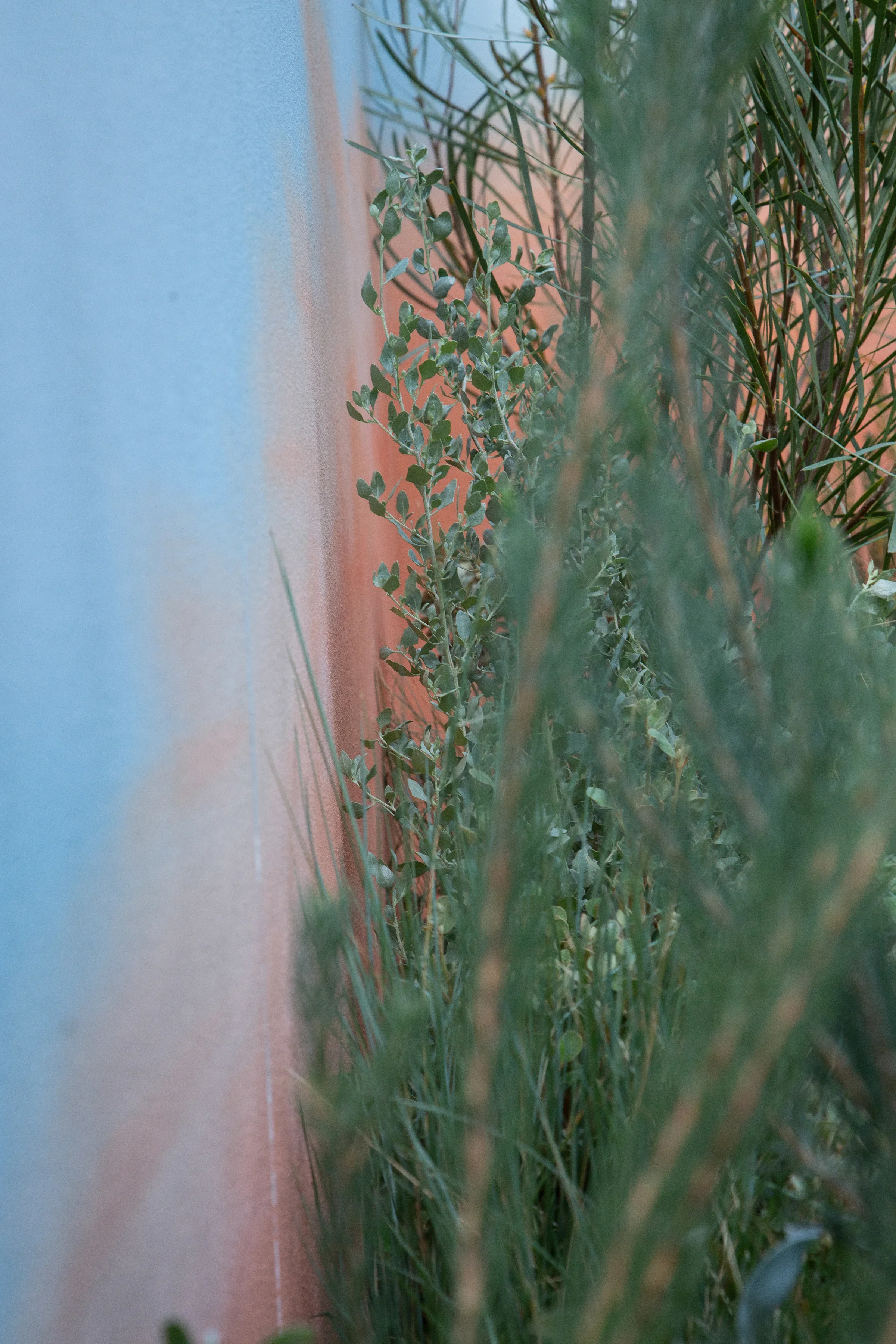 MIFGS_2026_Sunset Over Salt Lake-27.webp