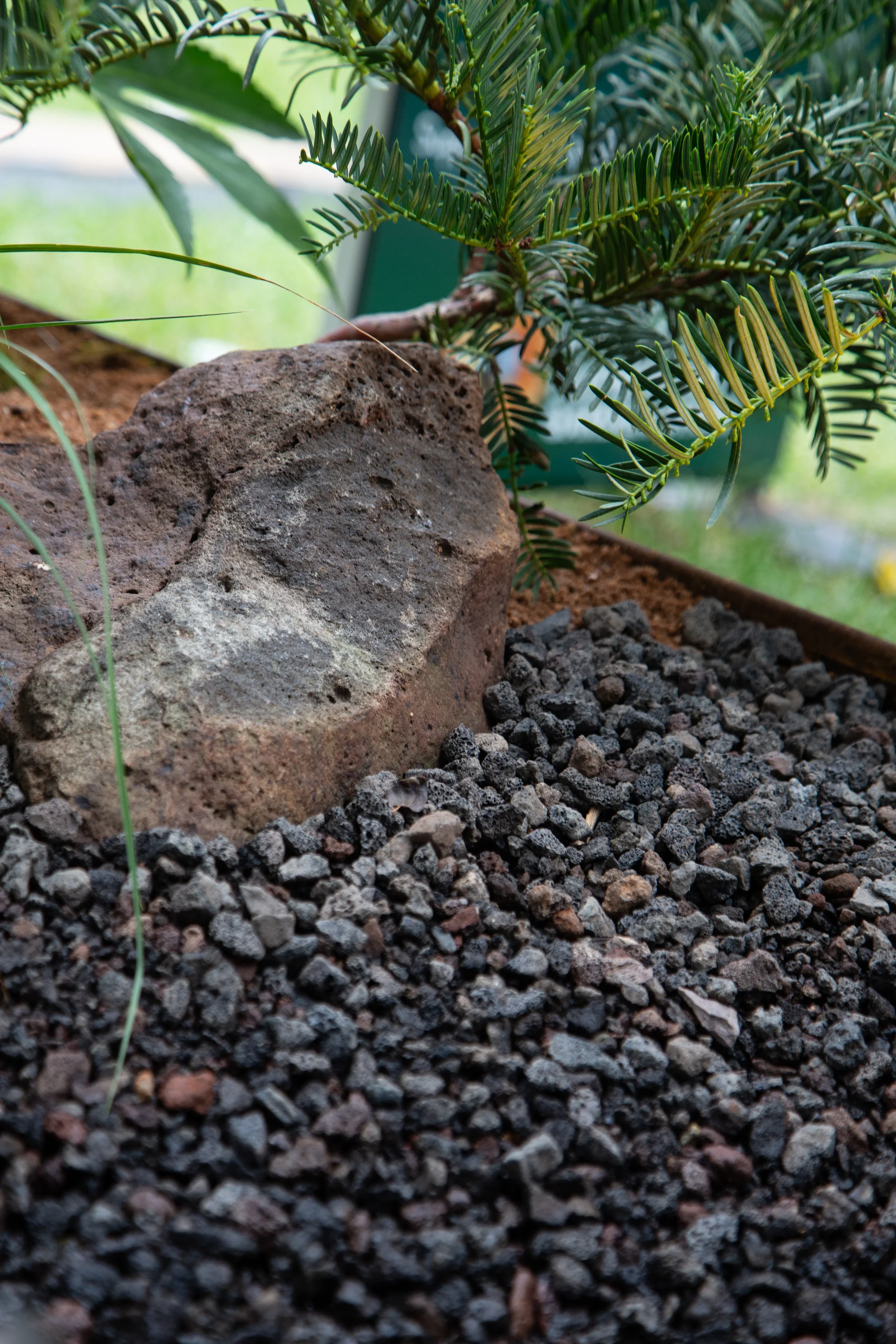 MIFGS_2026_Border Gardens-499.webp