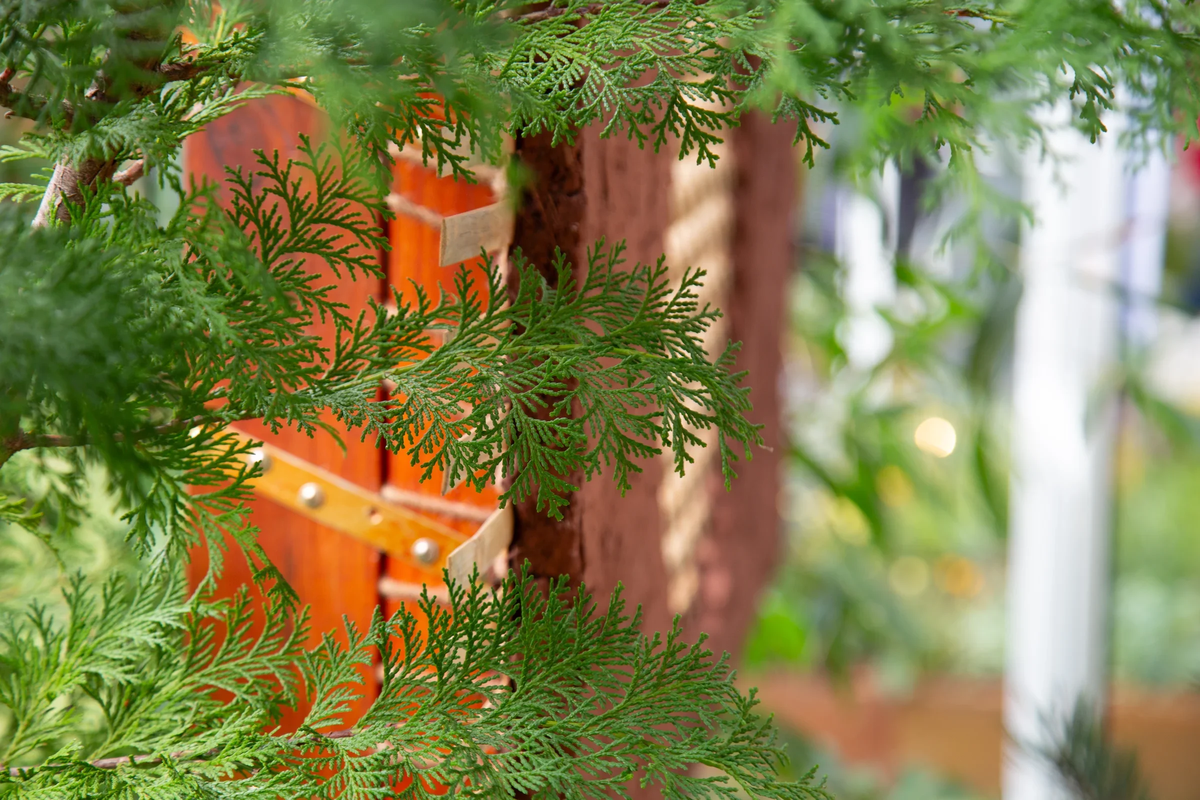 MIFGS_2026_Border Gardens-492.webp