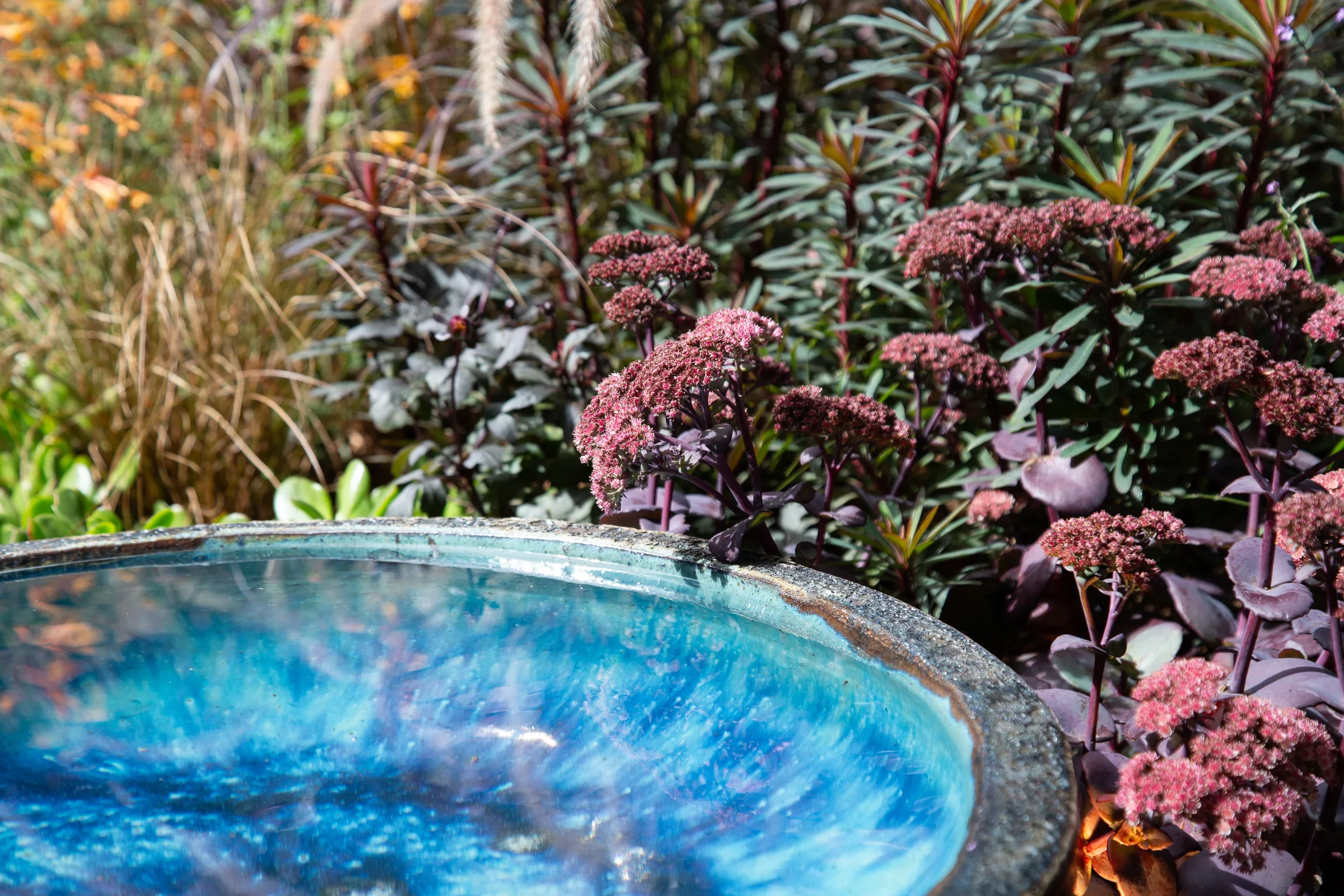 Introspect by Alex Dubell