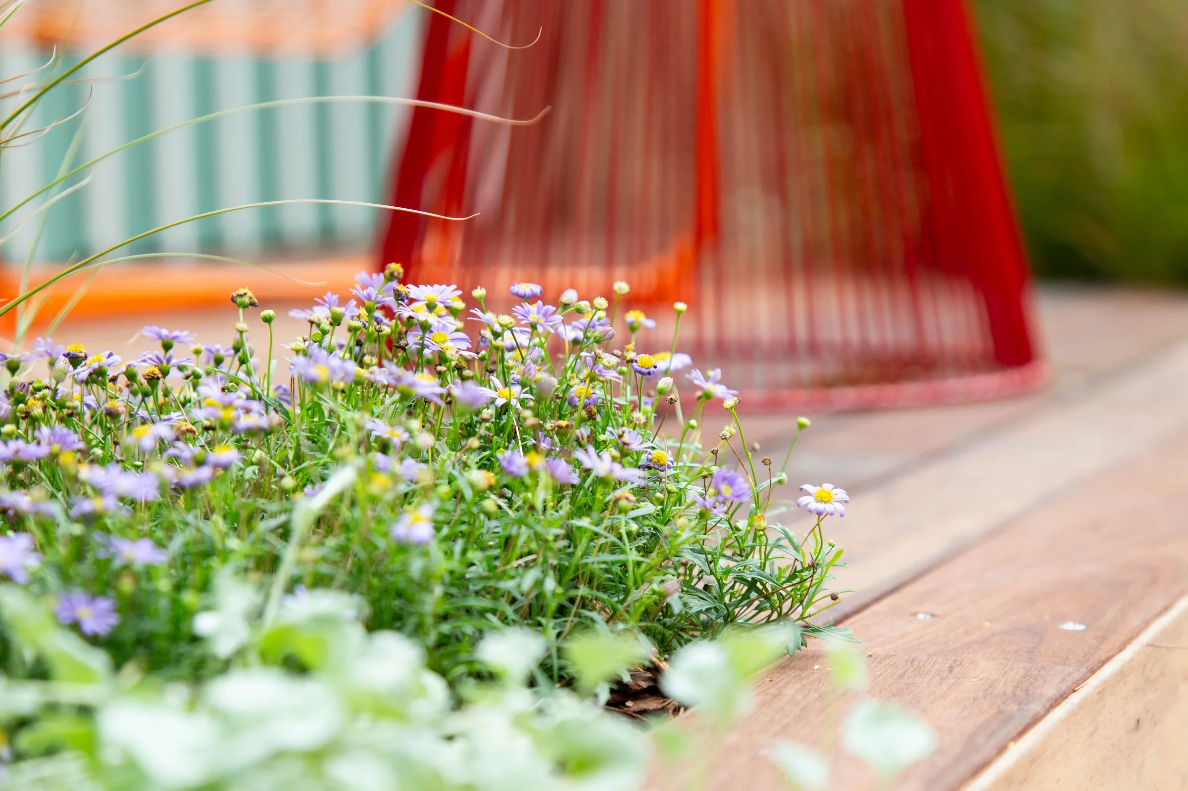 MIFGS_2026_Oasis in the Sky-16.webp