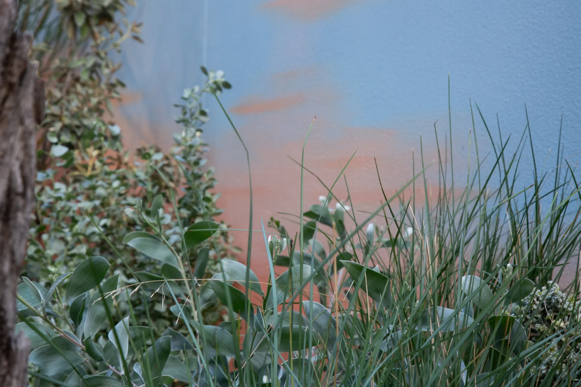 MIFGS_2026_Sunset Over Salt Lake-24.webp