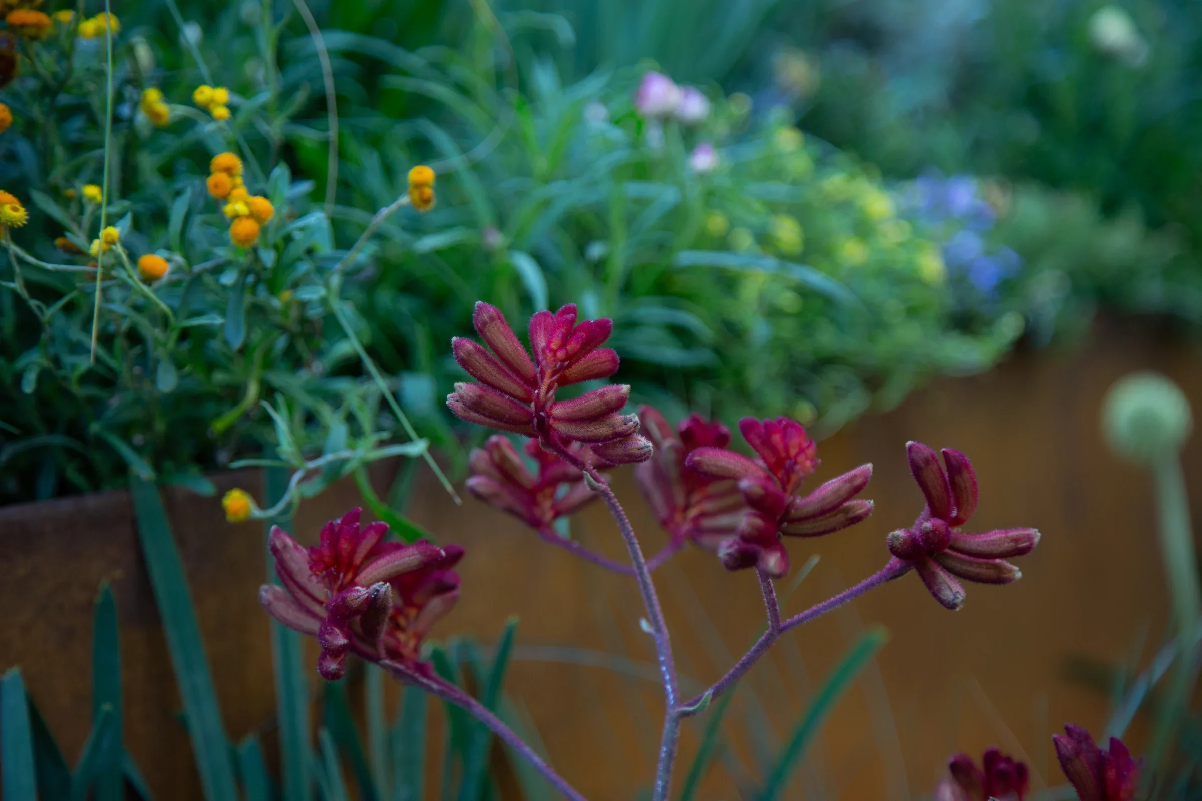 MIFGS_2026_Boutique Garden-22.webp