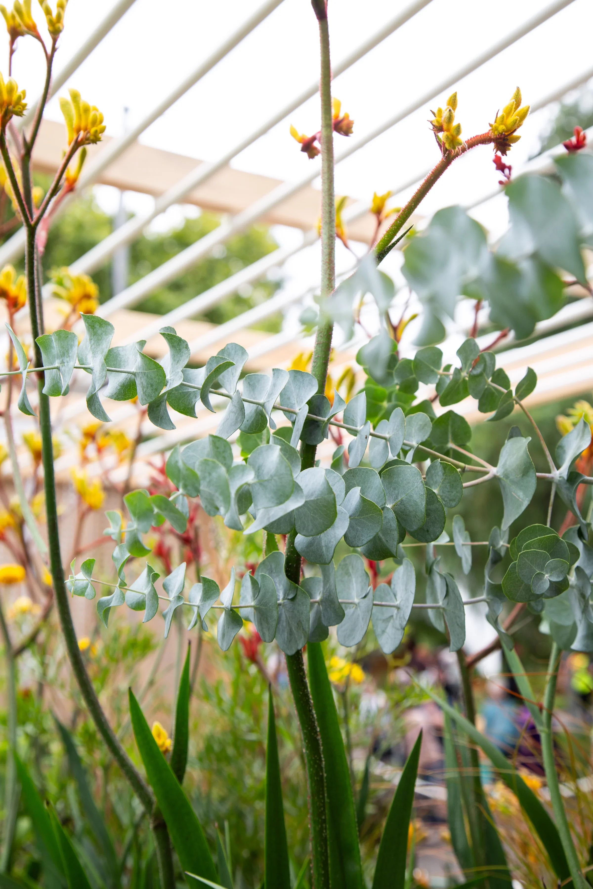 MIFGS_2026_Oasis in the Sky-56.webp