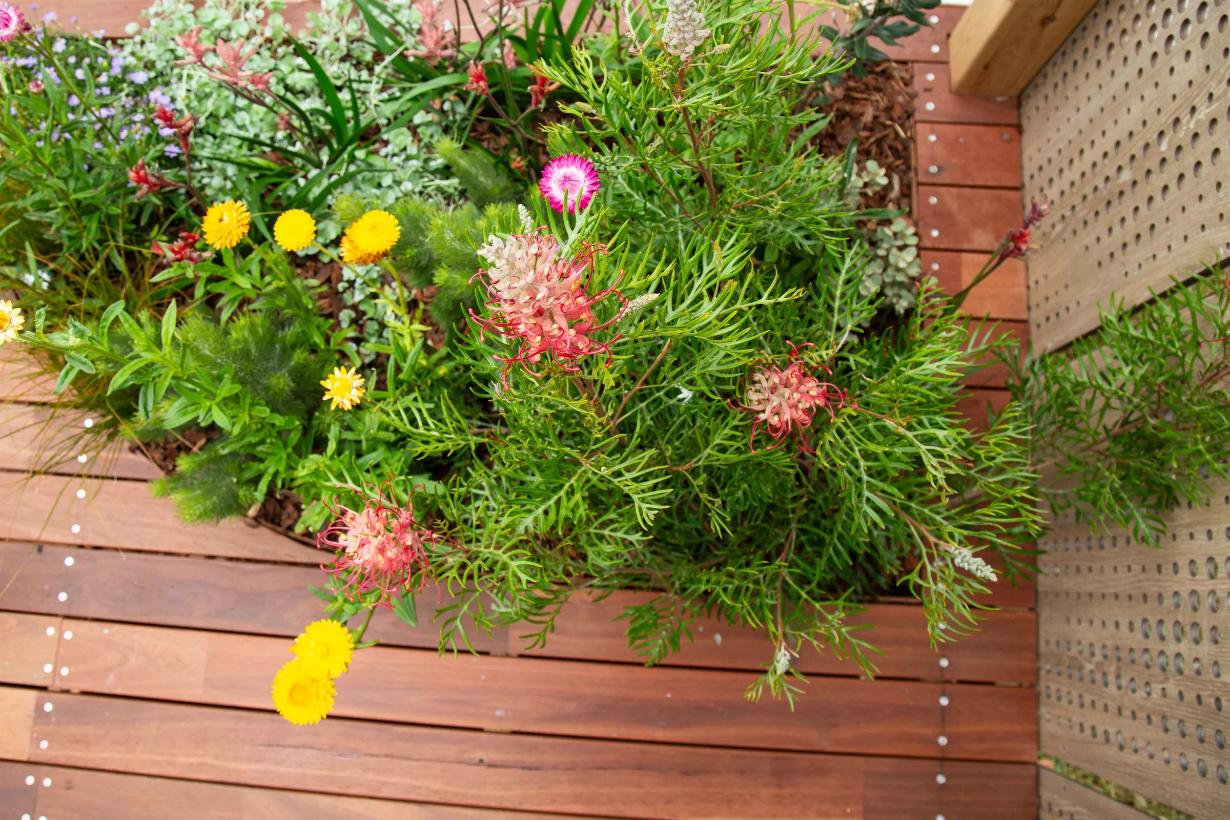 MIFGS_2026_Oasis in the Sky-49.webp