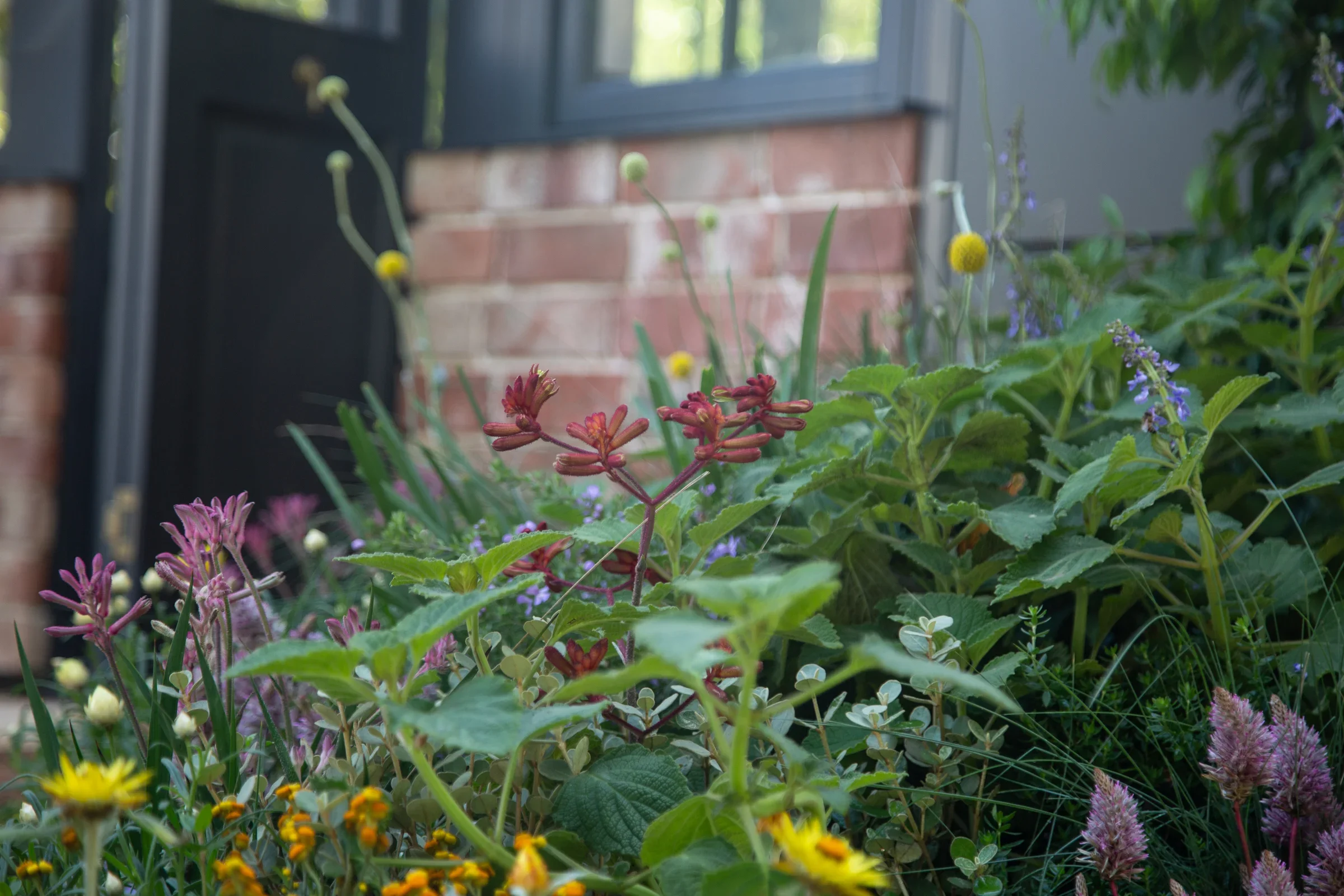 MIFGS_2026_Boutique Garden-35.webp