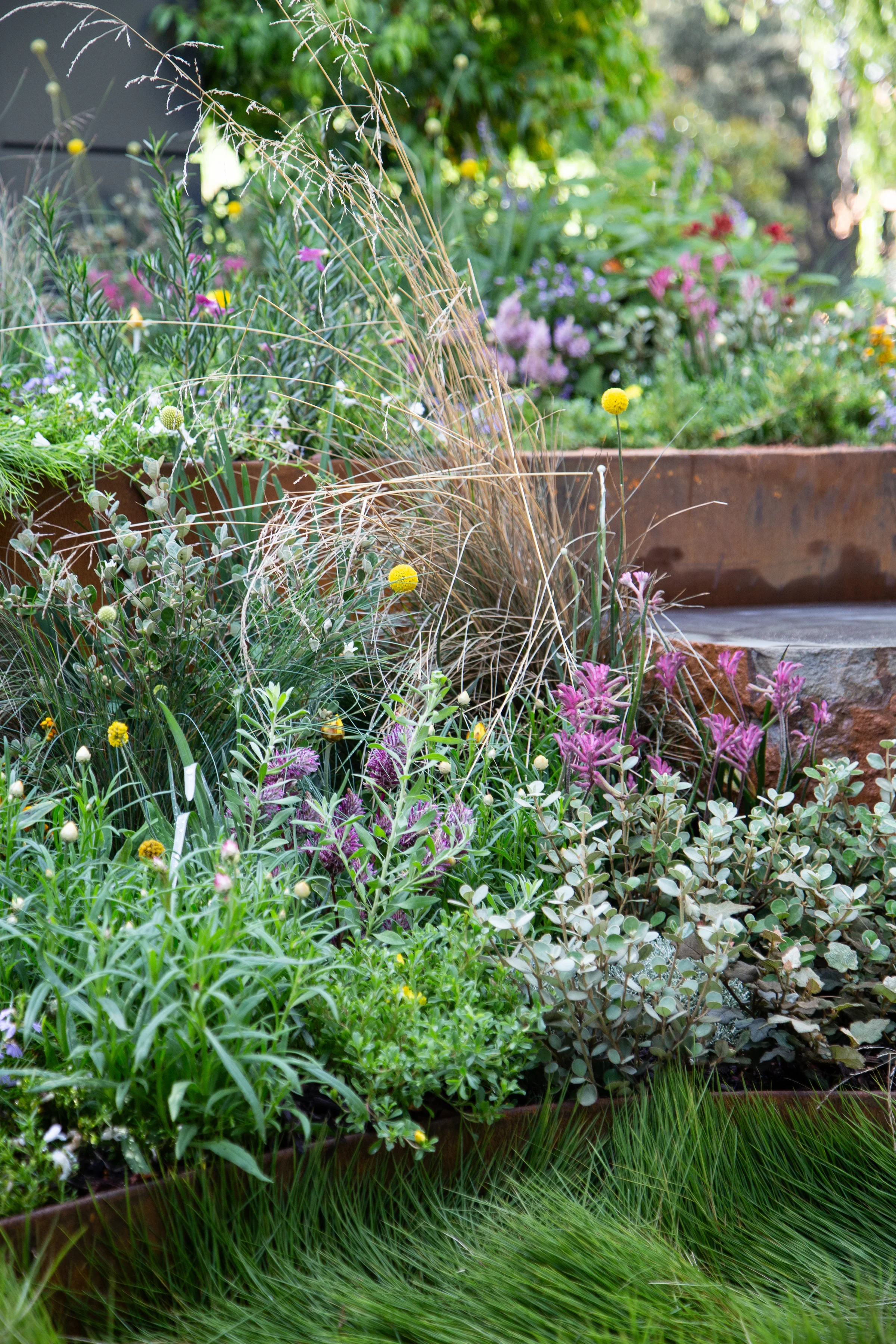 MIFGS_2026_Boutique Garden-87.webp