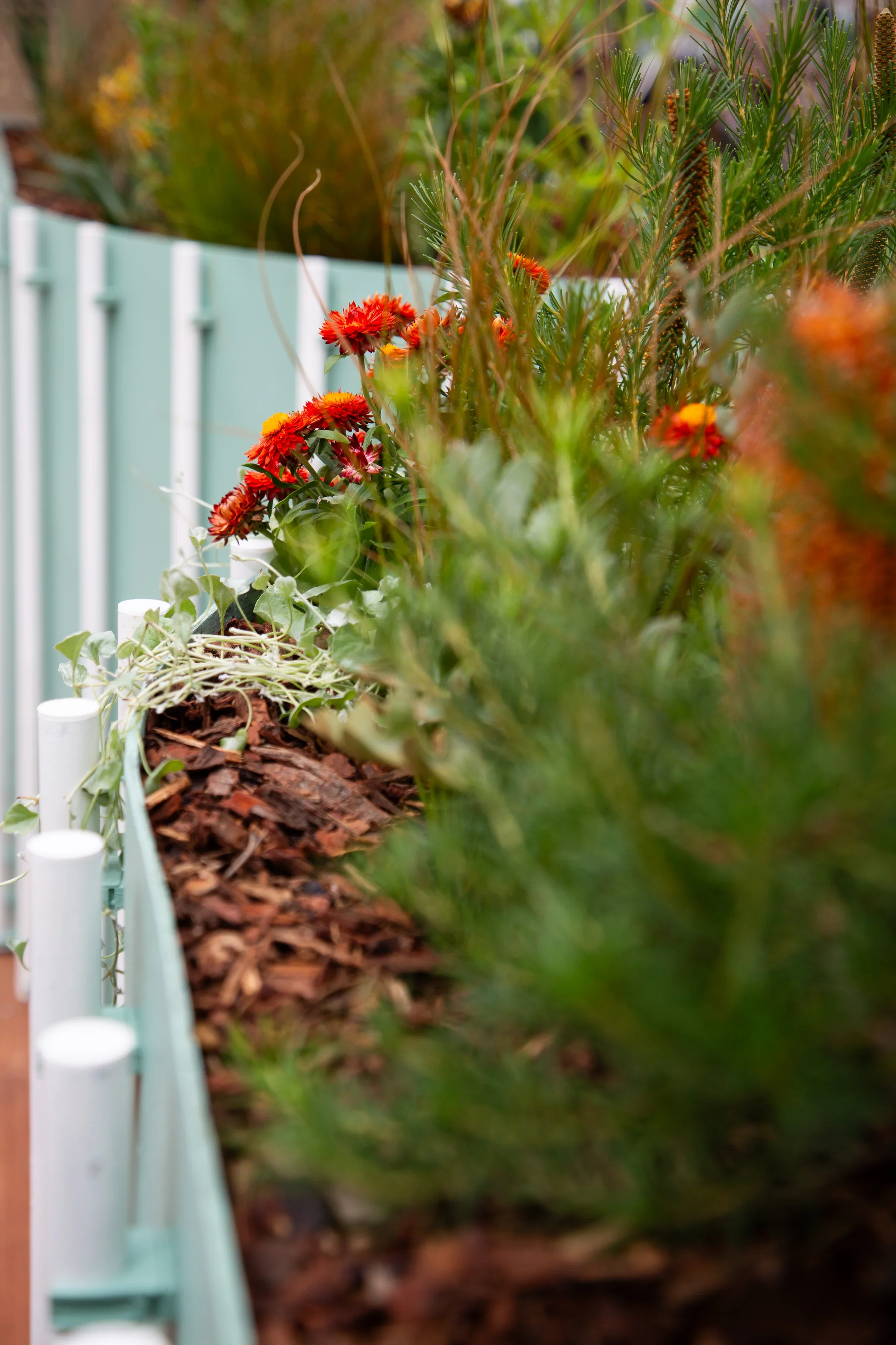 MIFGS_2026_Oasis in the Sky-36.webp