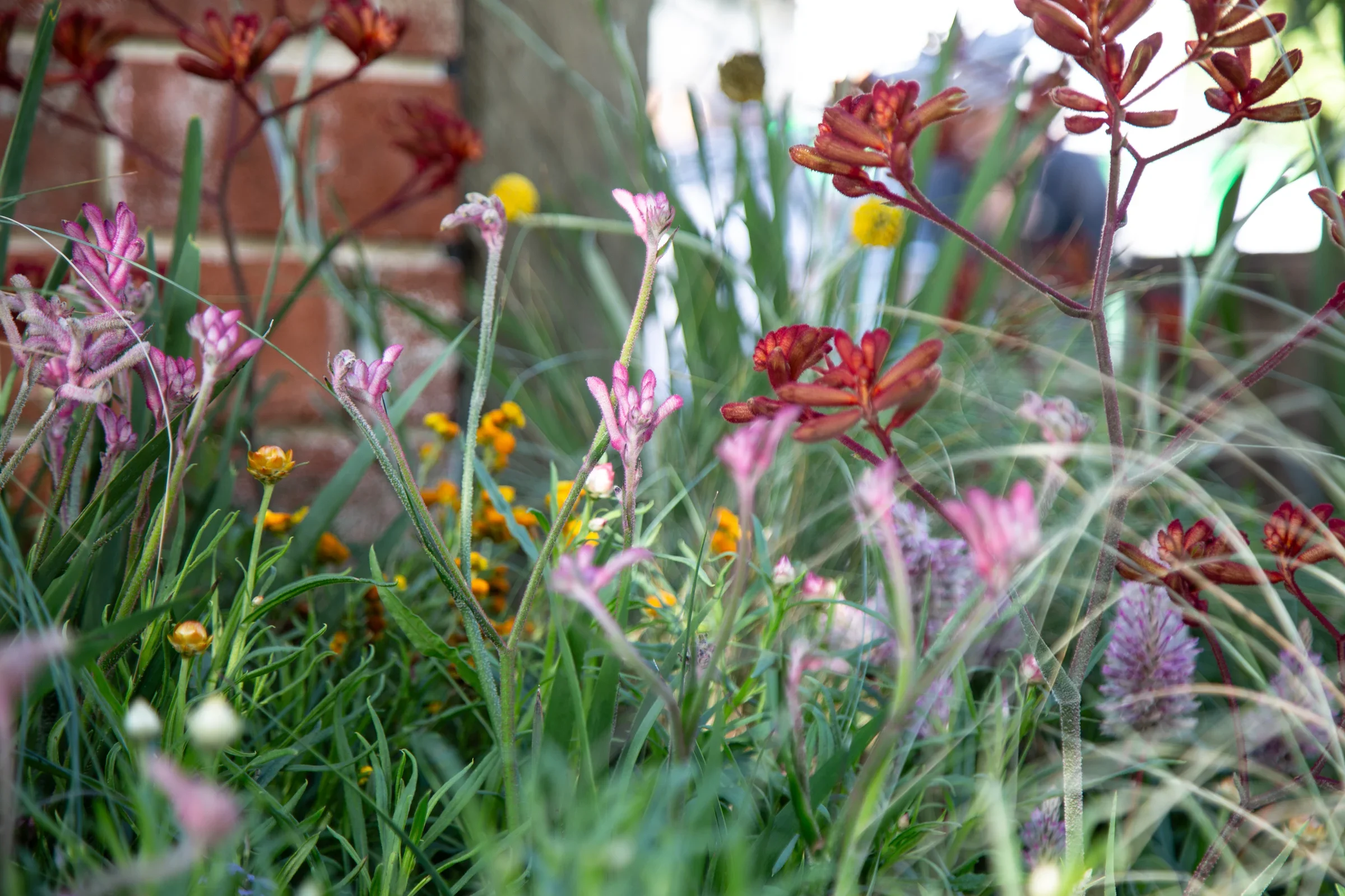 MIFGS_2026_Boutique Garden-13.webp