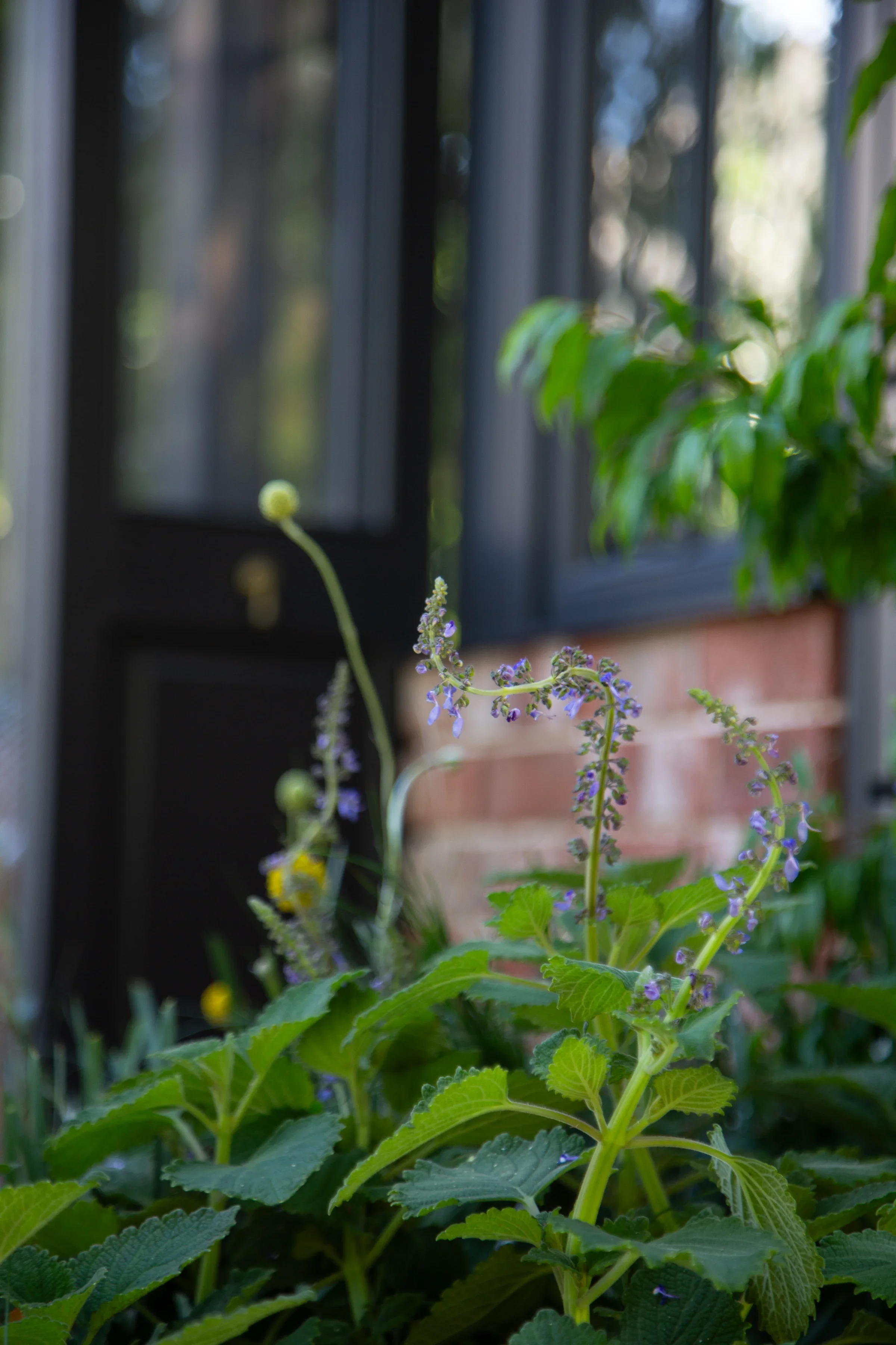 MIFGS_2026_Boutique Garden-38.webp