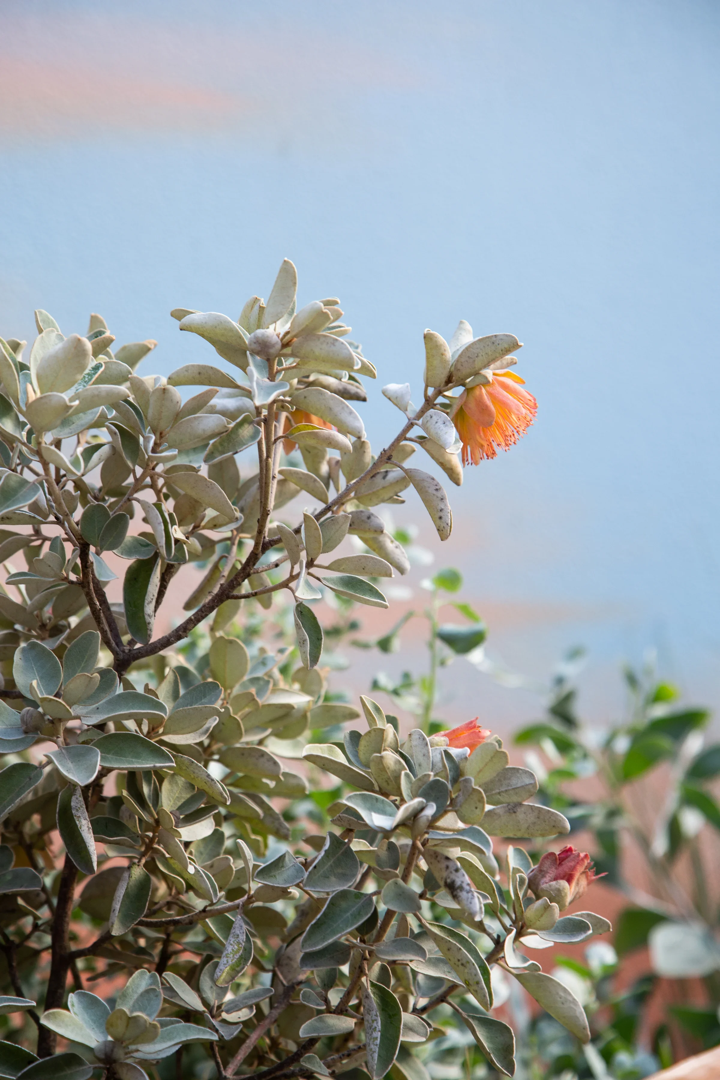 MIFGS_2026_Sunset Over Salt Lake-41.webp