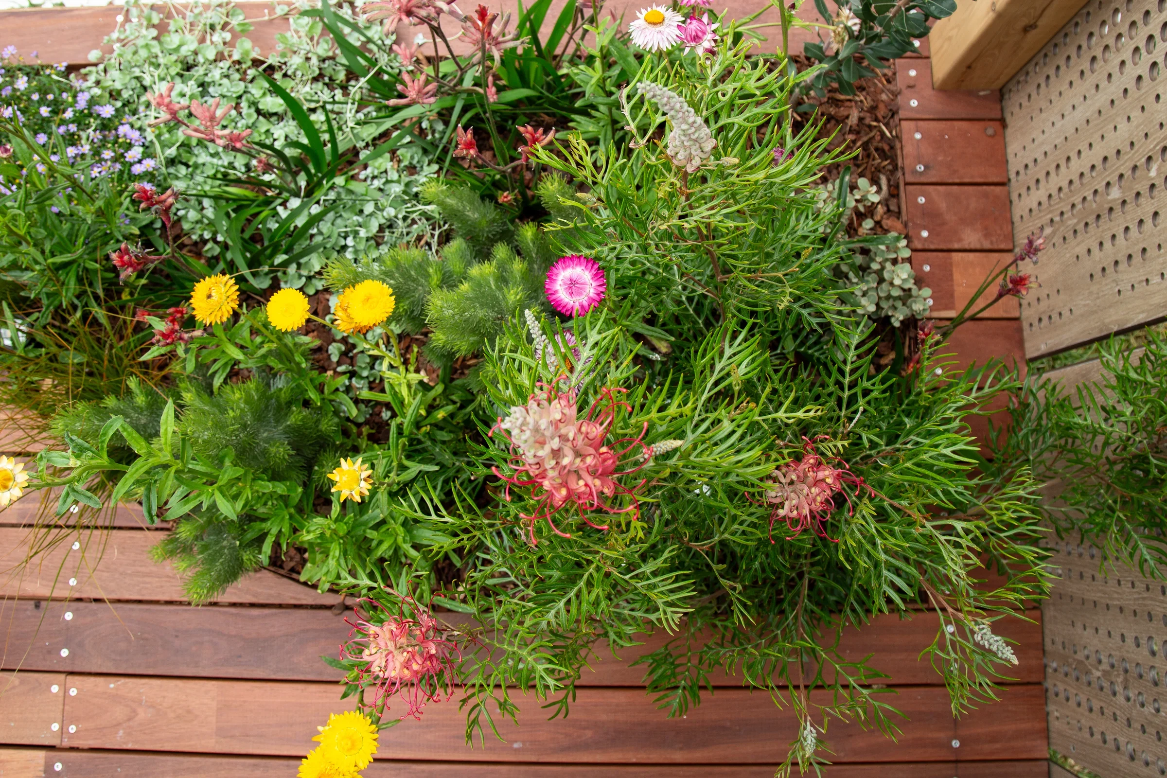 MIFGS_2026_Oasis in the Sky-50.webp