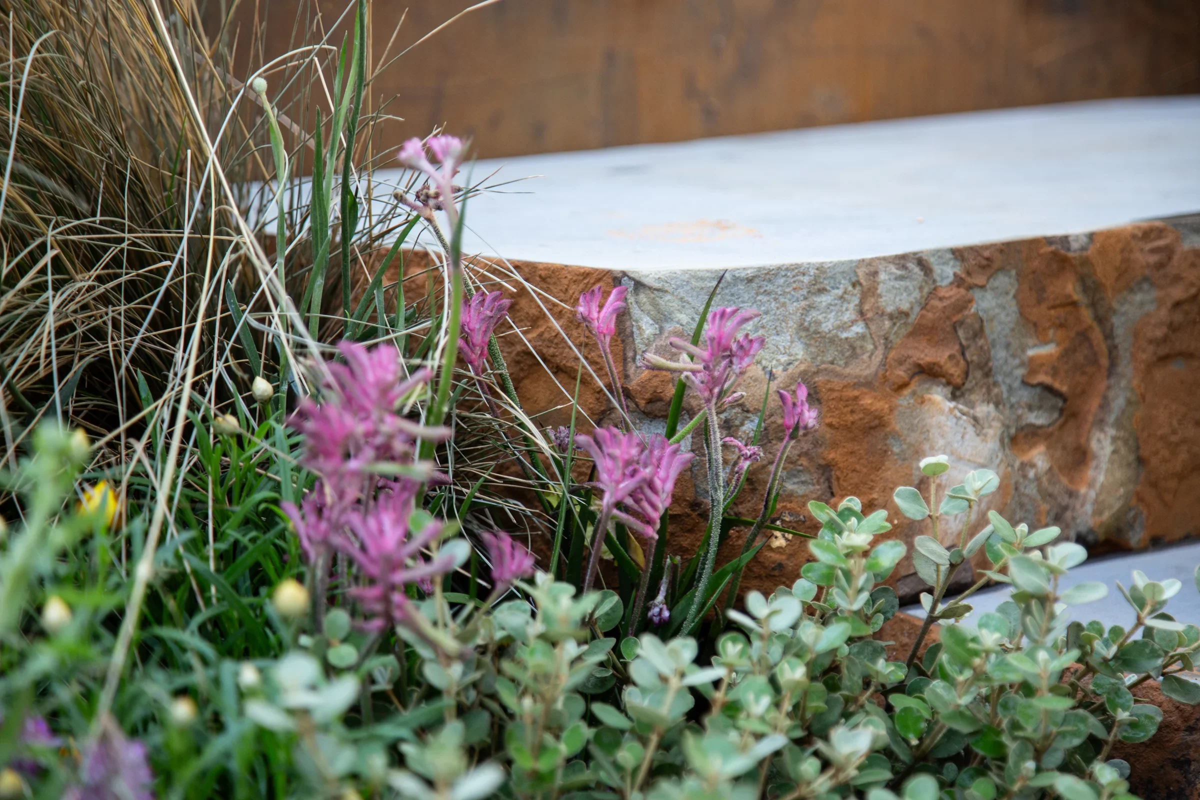 MIFGS_2026_Boutique Garden-07.webp