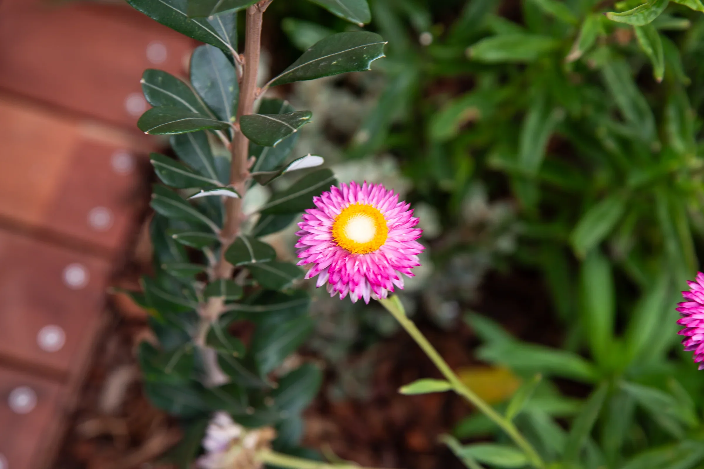 MIFGS_2026_Oasis in the Sky-64.webp