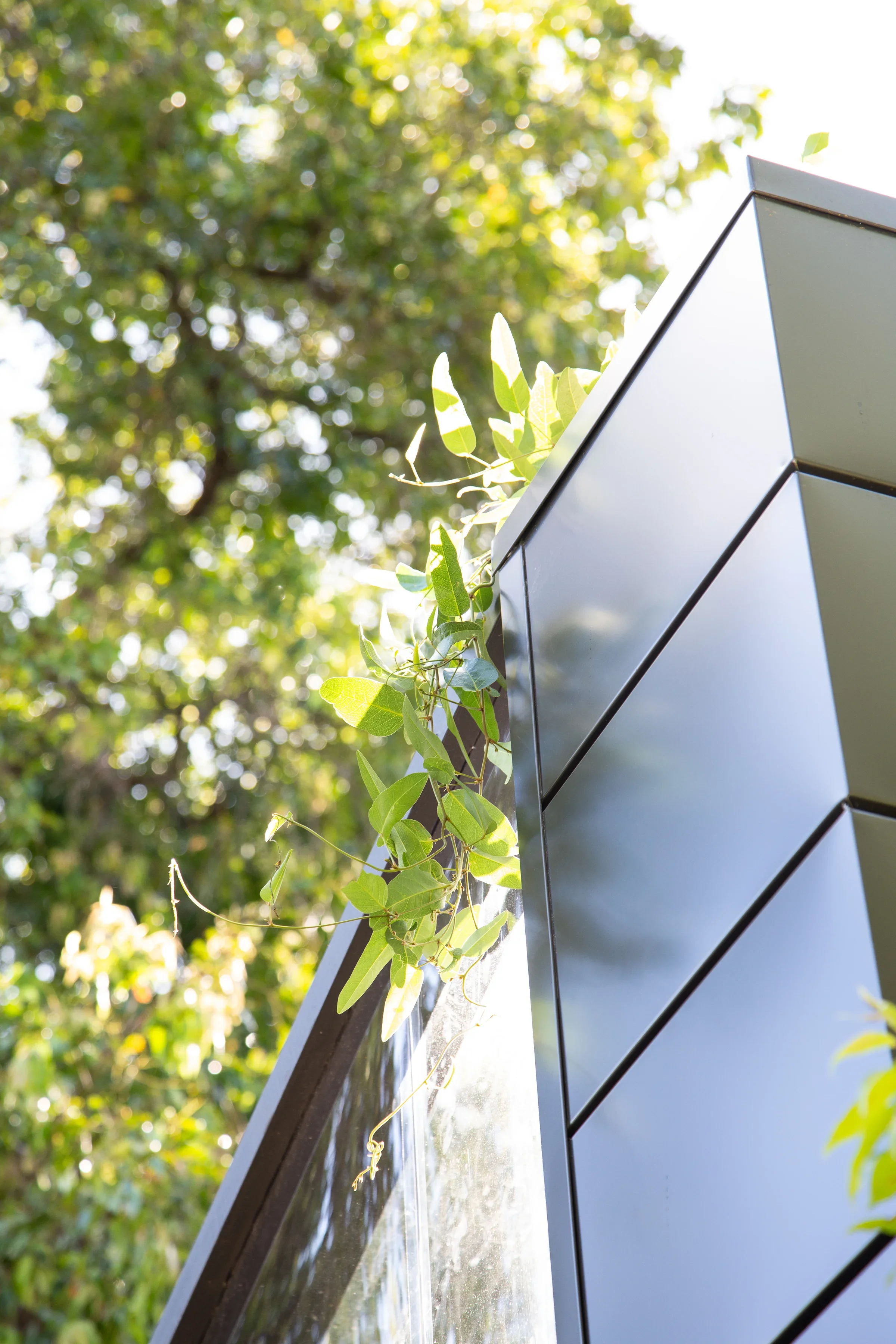 MIFGS_2026_Boutique Garden-61.webp