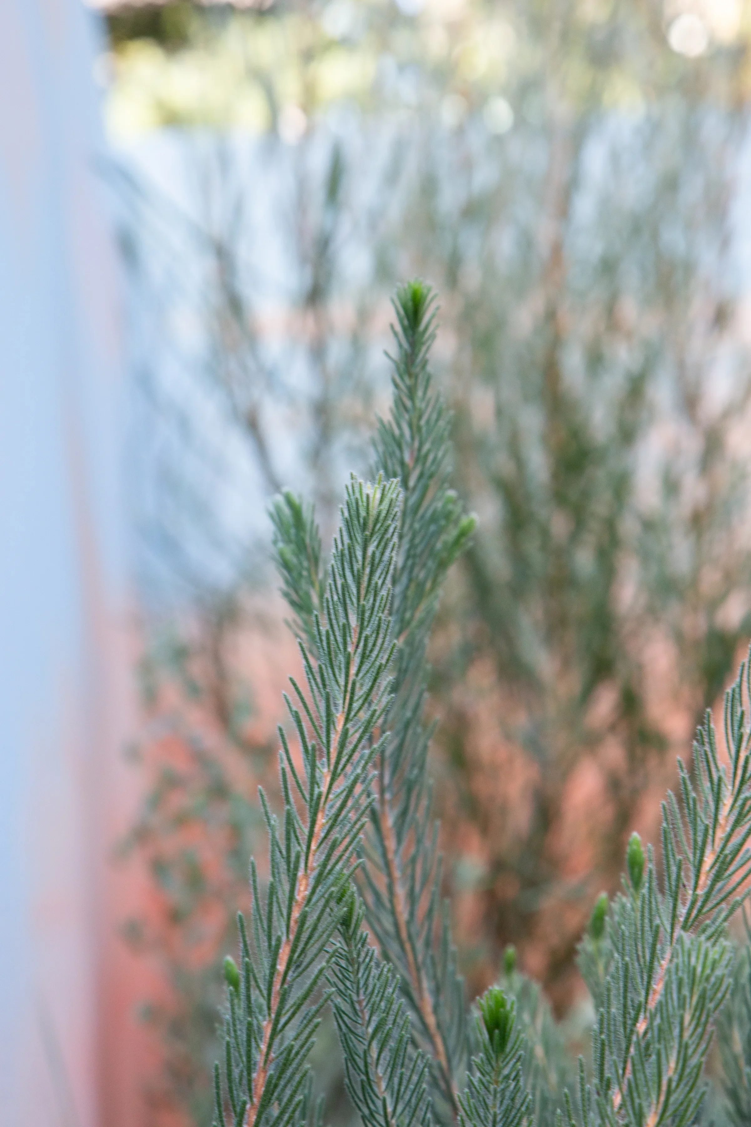 MIFGS_2026_Sunset Over Salt Lake-28.webp