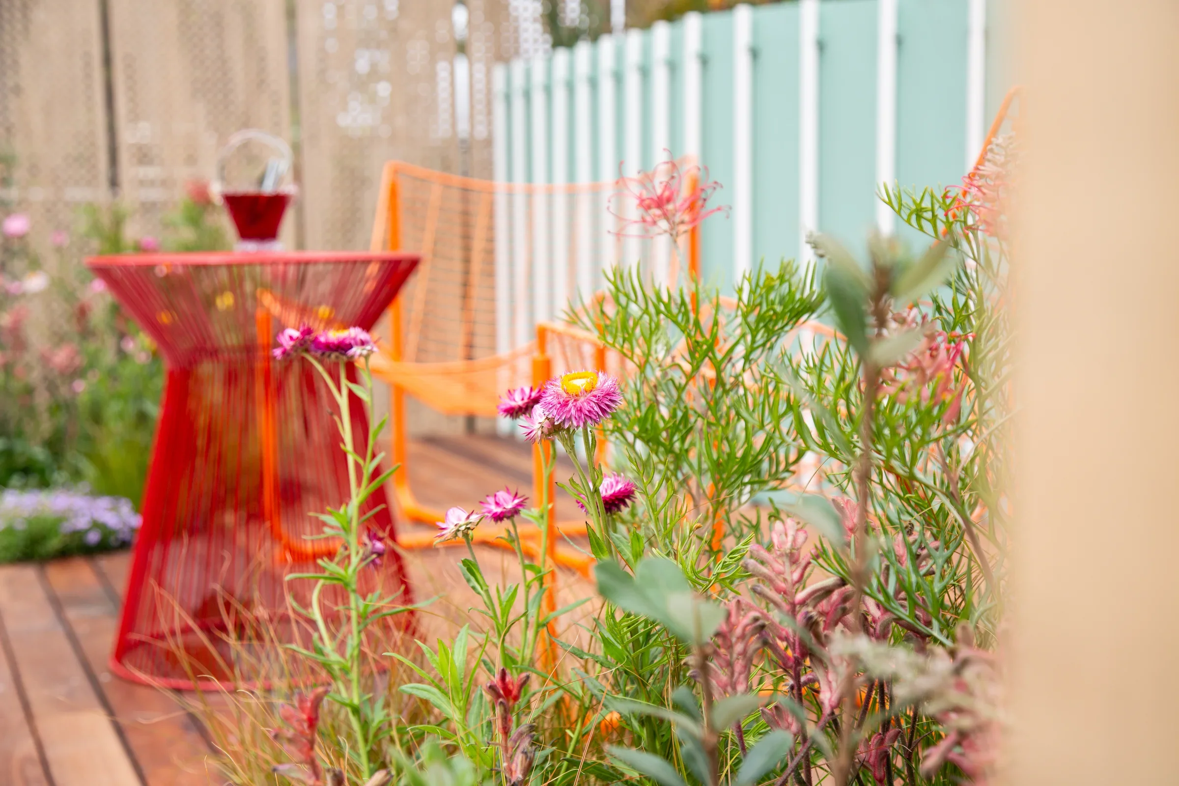 MIFGS_2026_Oasis in the Sky-34.webp