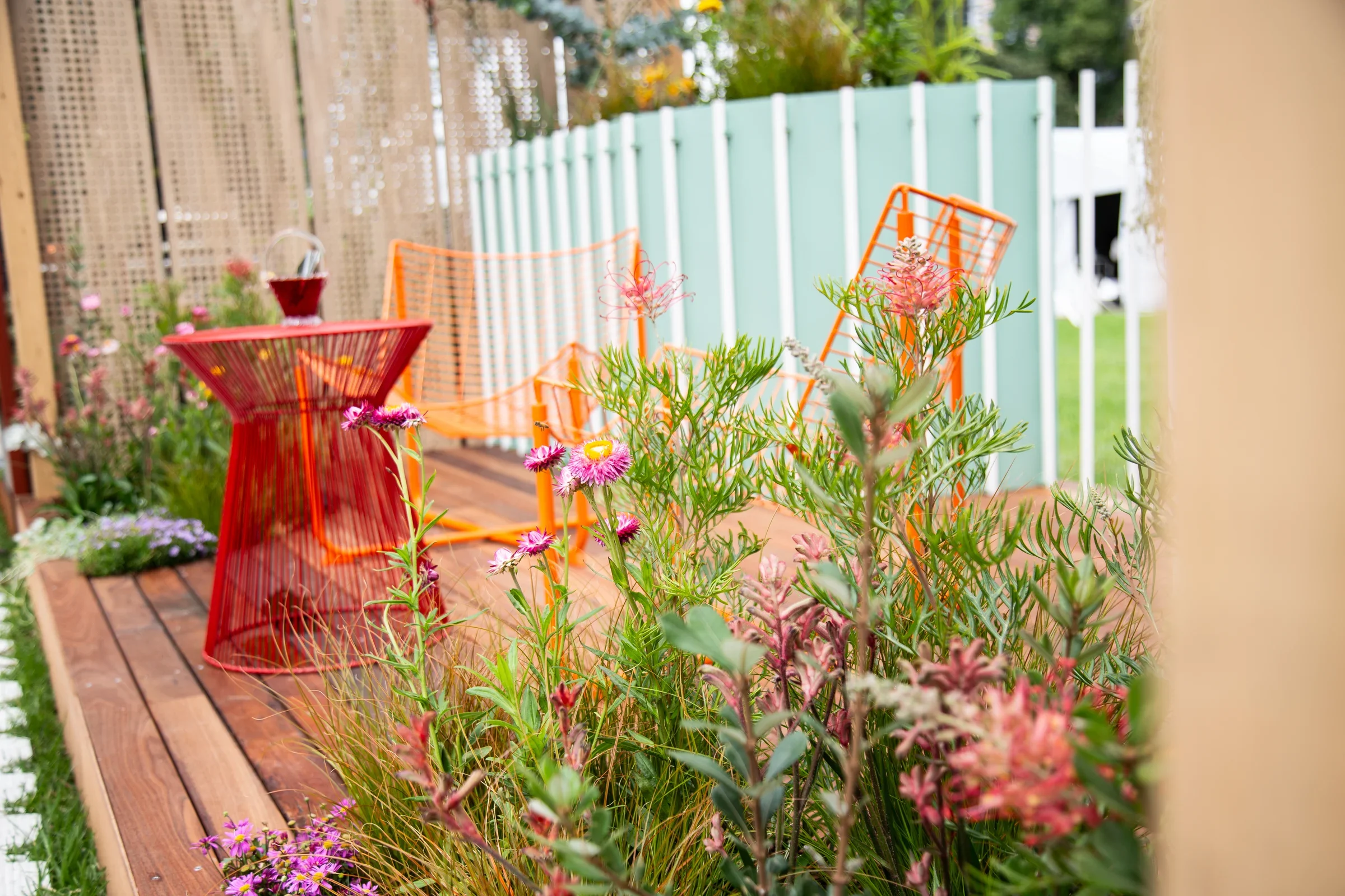 MIFGS_2026_Oasis in the Sky-32.webp