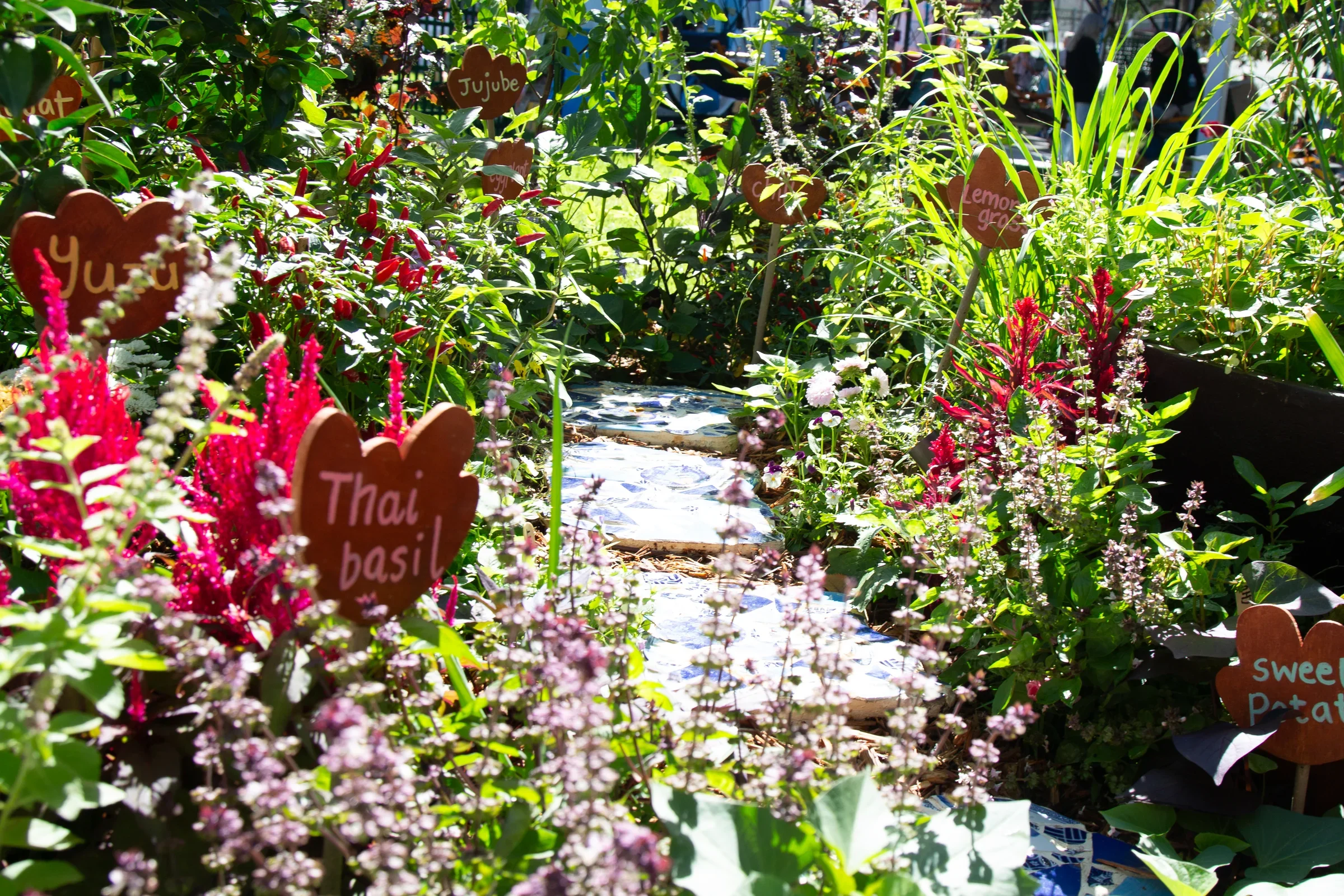 3rd Place — Your Asian Veggie Patch by Connie Cao