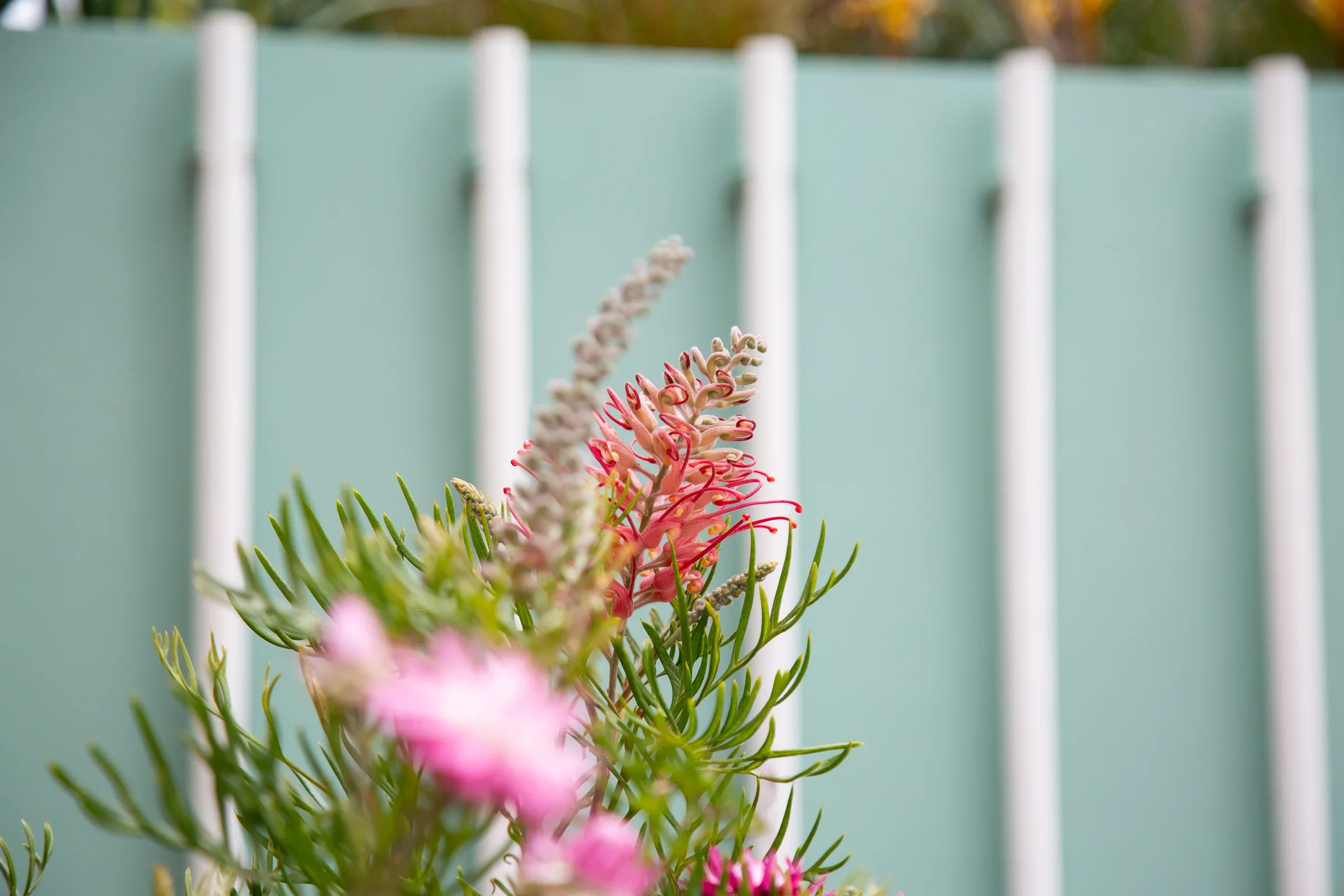 MIFGS_2026_Oasis in the Sky-13.webp