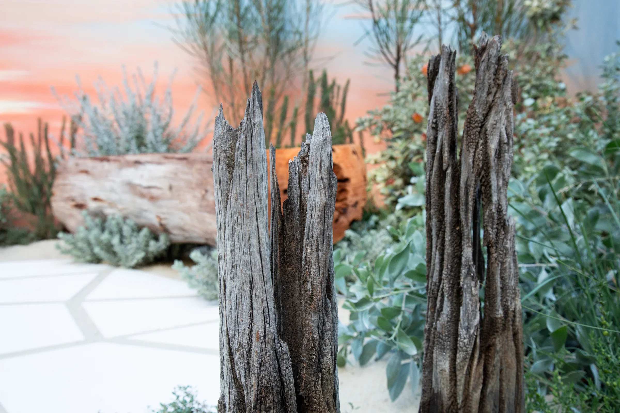 MIFGS_2026_Sunset Over Salt Lake-20.webp