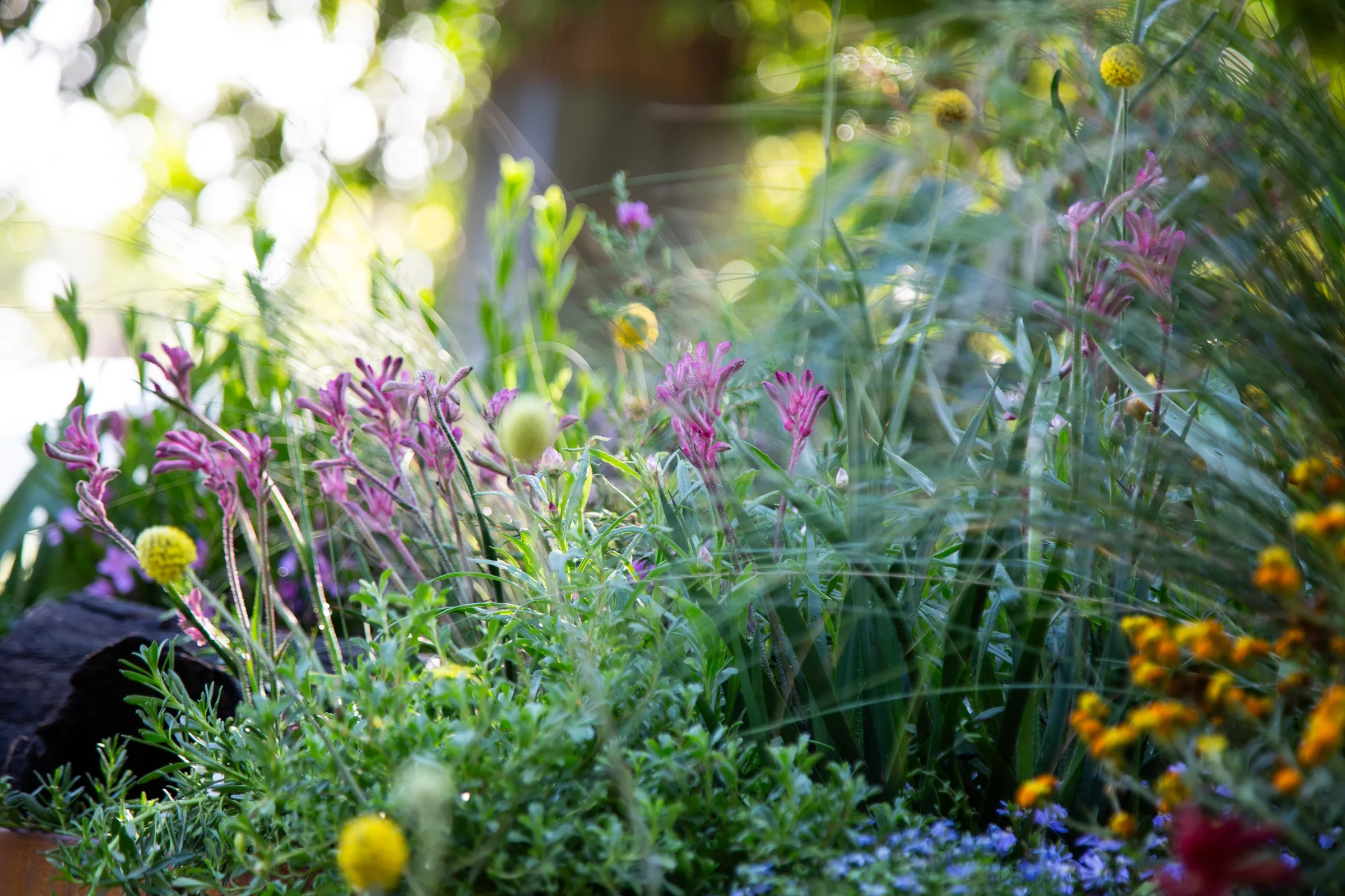 MIFGS_2026_Boutique Garden-04.webp