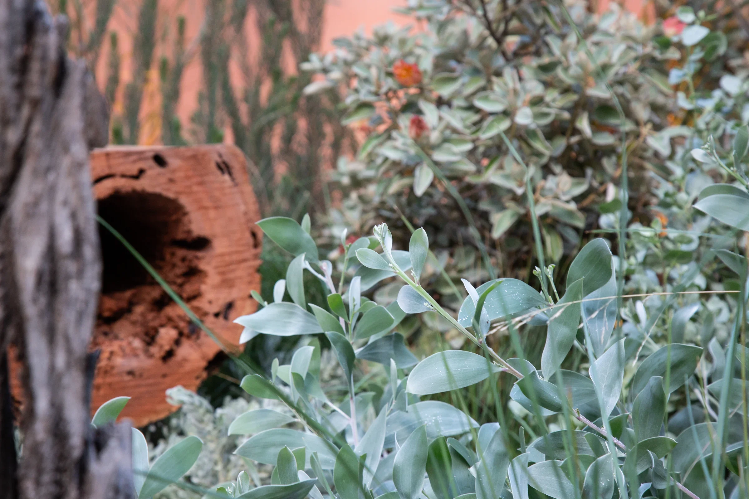 MIFGS_2026_Sunset Over Salt Lake-26.webp