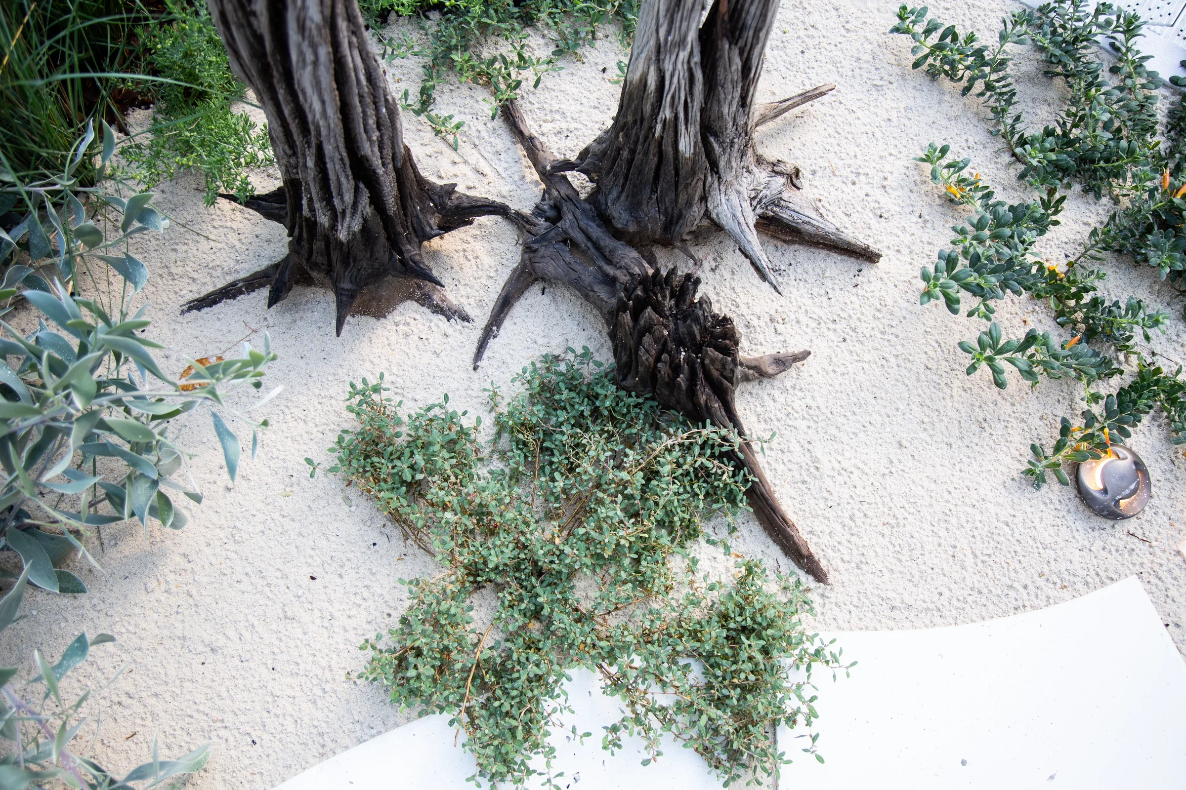 MIFGS_2026_Sunset Over Salt Lake-52.webp