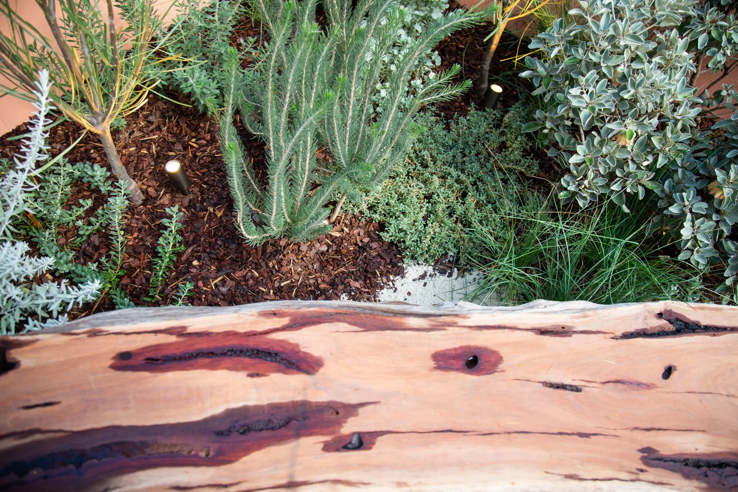 MIFGS_2026_Sunset Over Salt Lake-64.webp