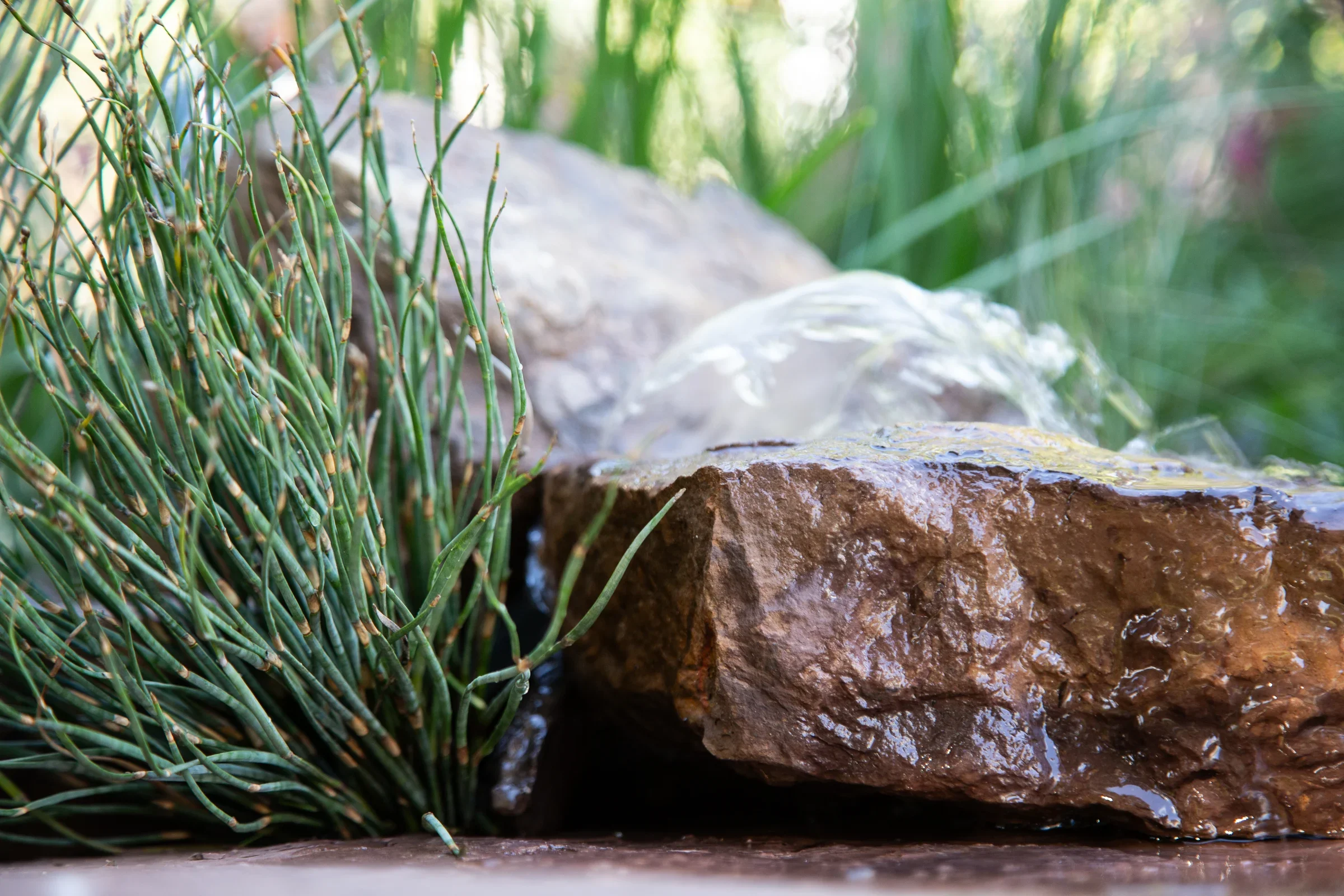 MIFGS_2026_Boutique Garden-65.webp