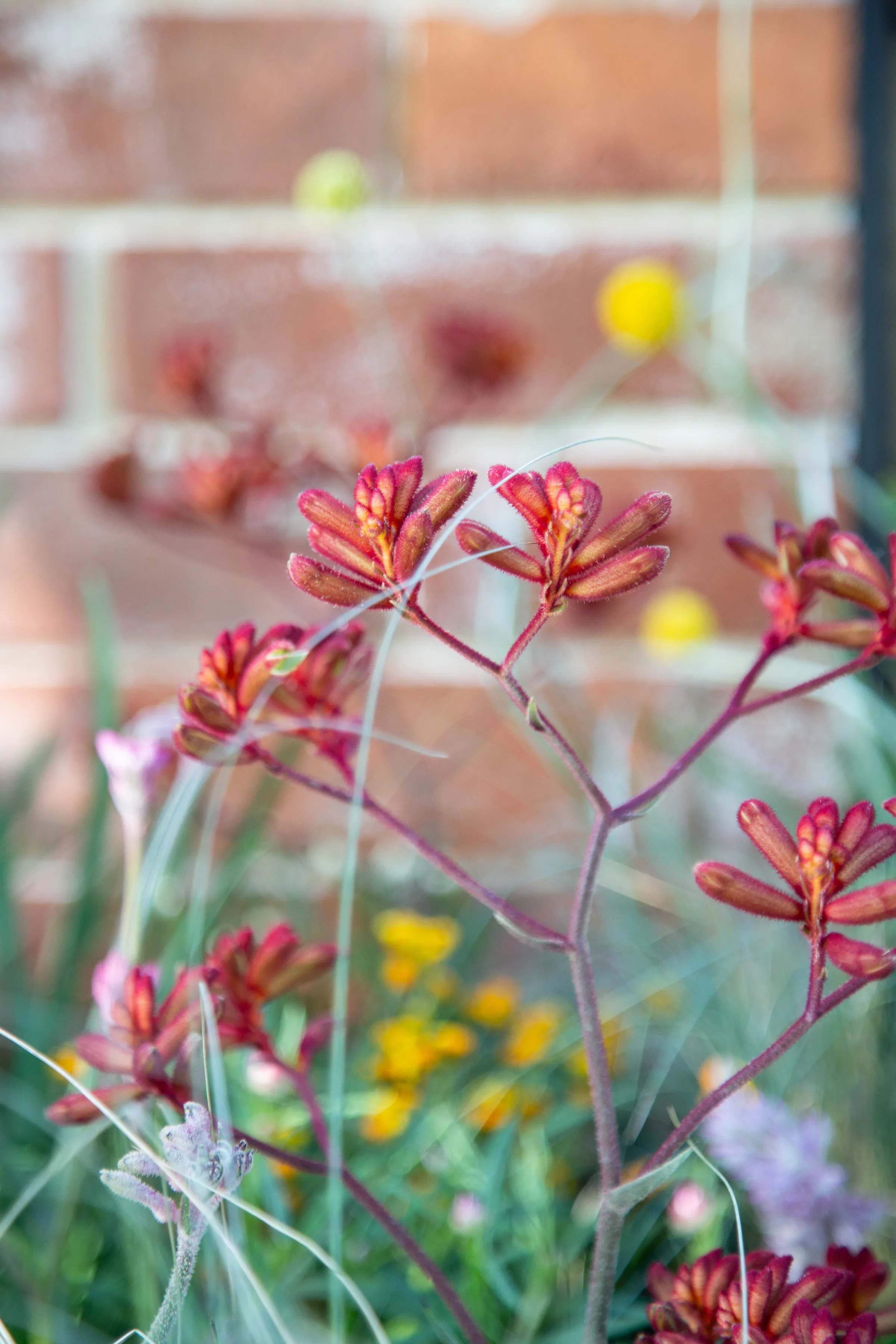 MIFGS_2026_Boutique Garden-16.webp