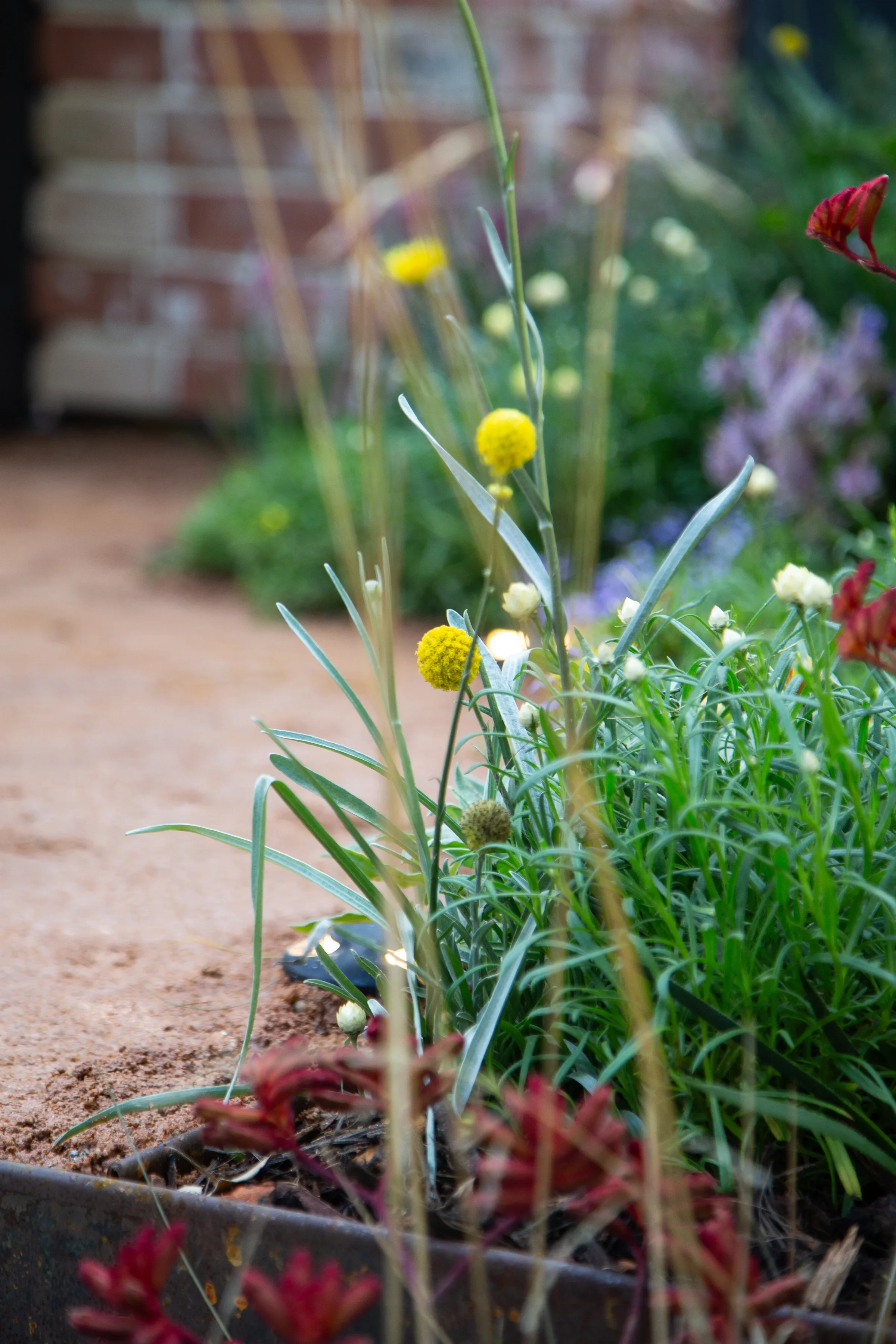 MIFGS_2026_Boutique Garden-91.webp