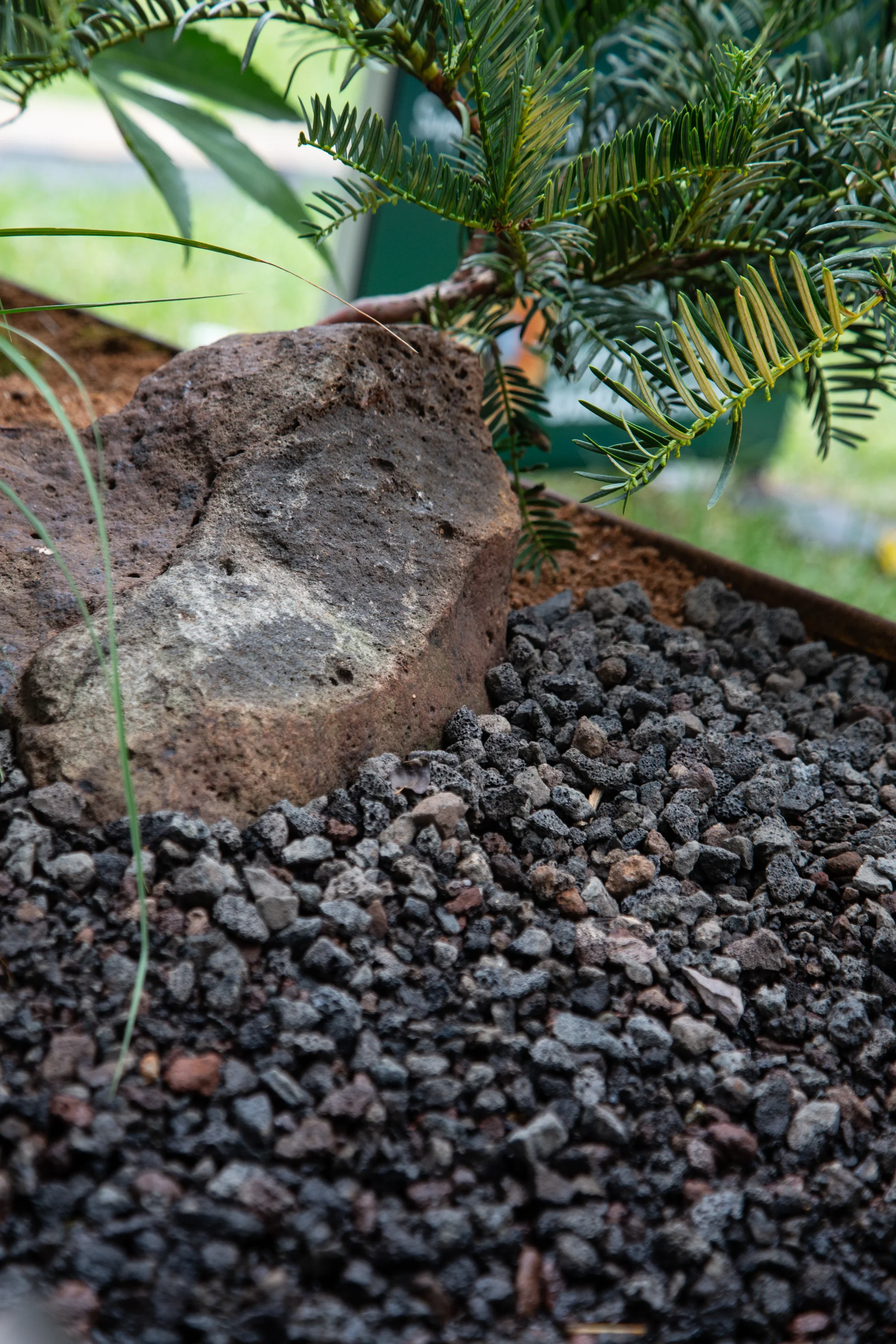 MIFGS_2026_Border Gardens-498.webp