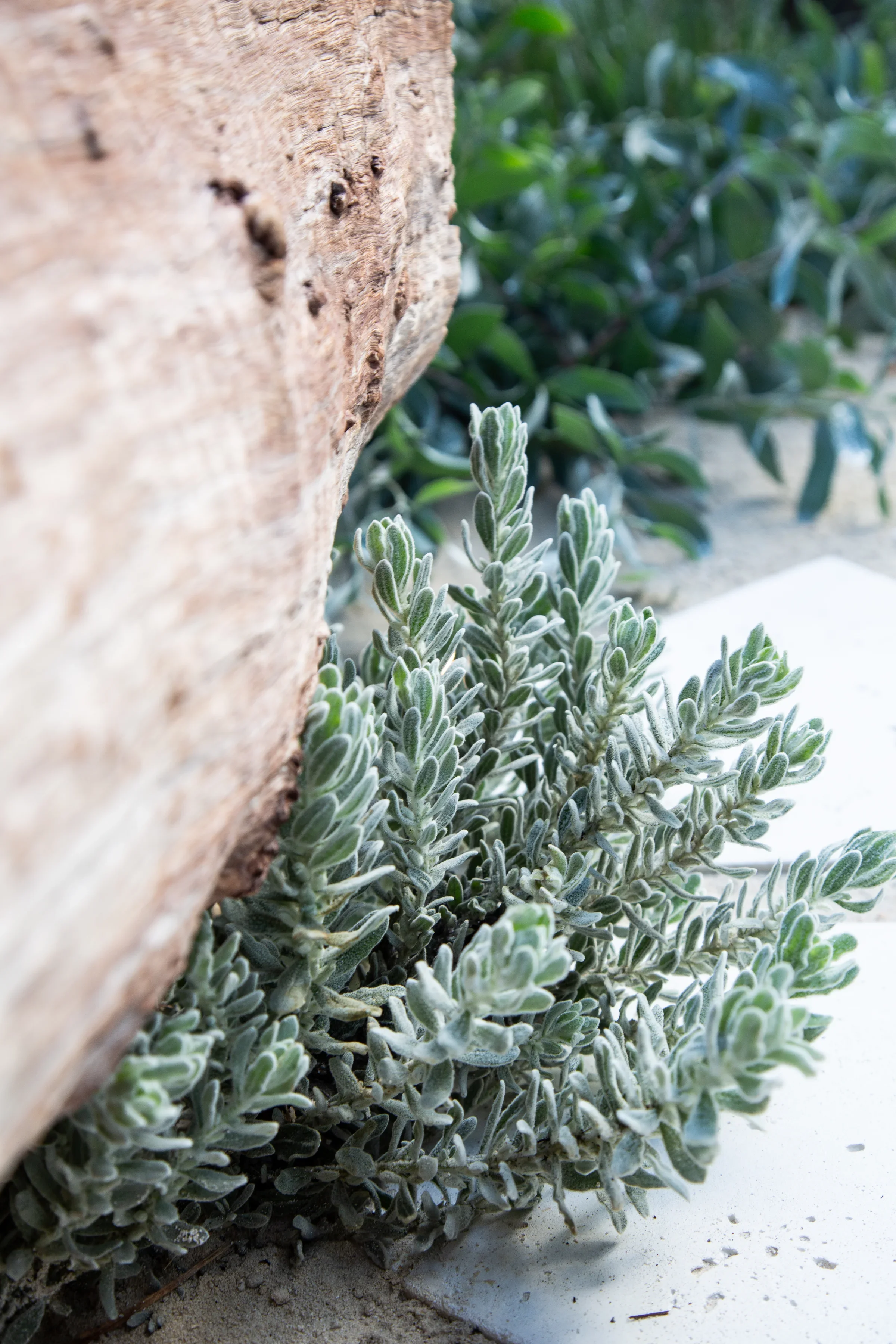 MIFGS_2026_Sunset Over Salt Lake-37.webp