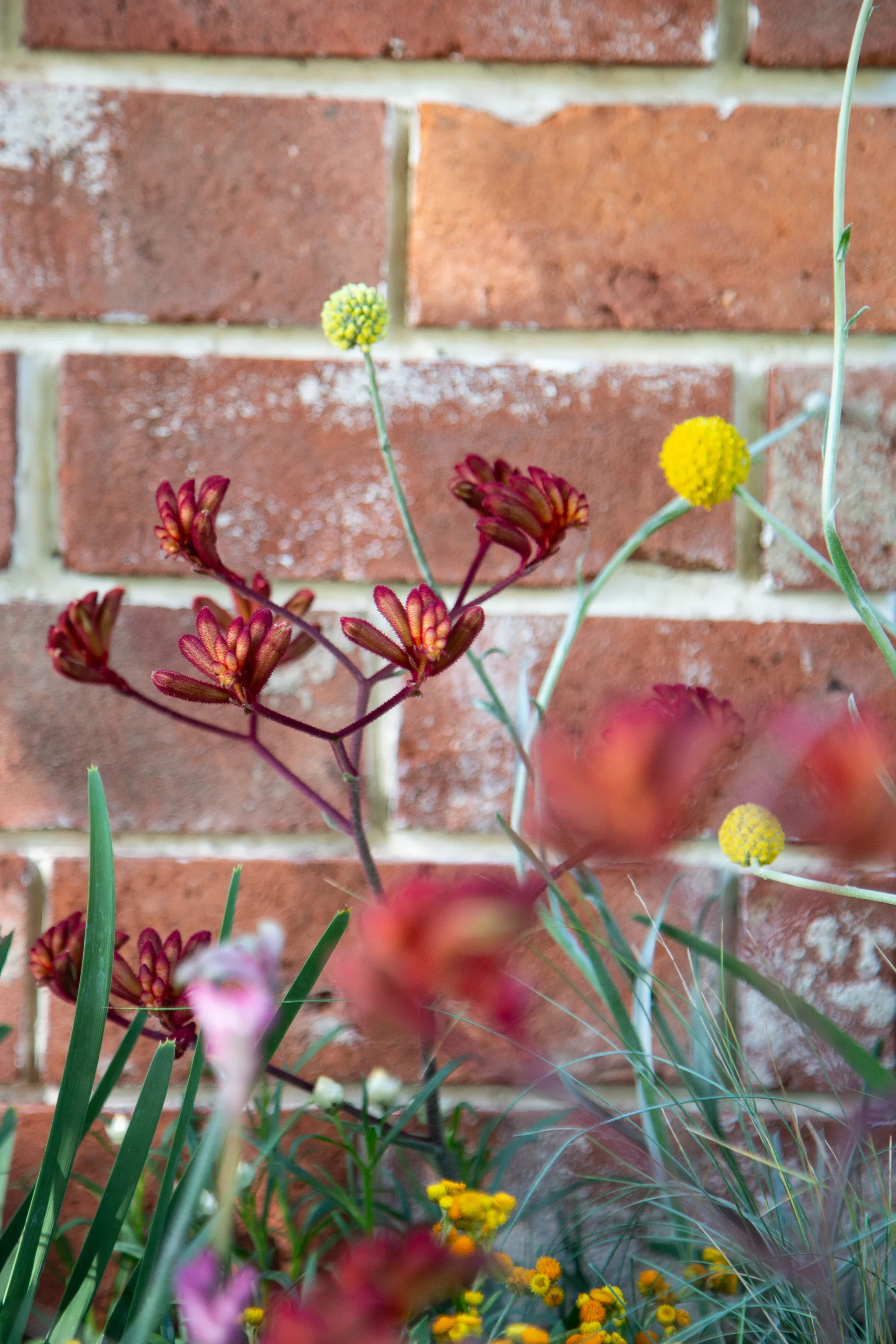 MIFGS_2026_Boutique Garden-15.webp