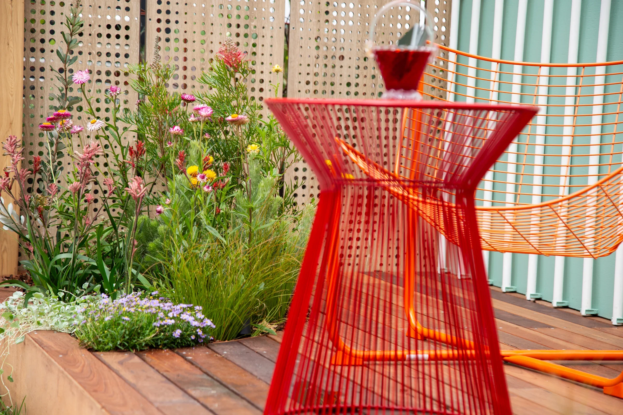 MIFGS_2026_Oasis in the Sky-25.webp