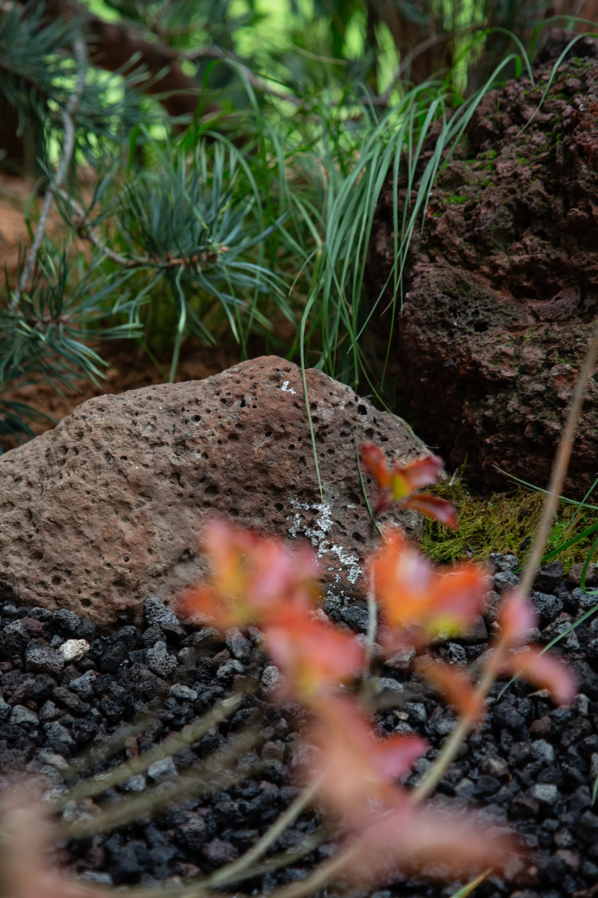 MIFGS_2026_Border Gardens-497.webp