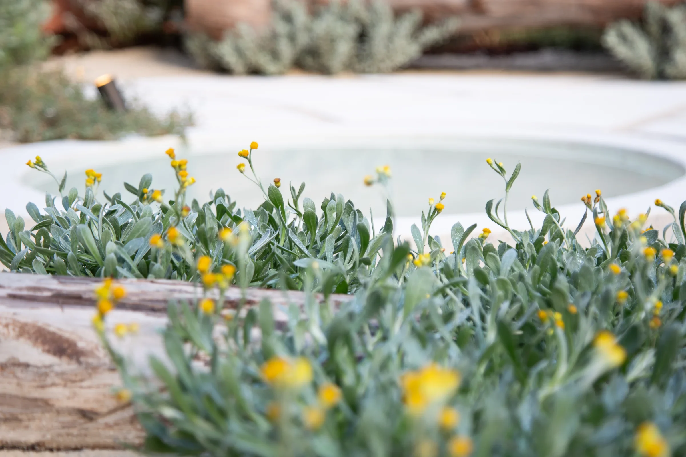 MIFGS_2026_Sunset Over Salt Lake-75.webp