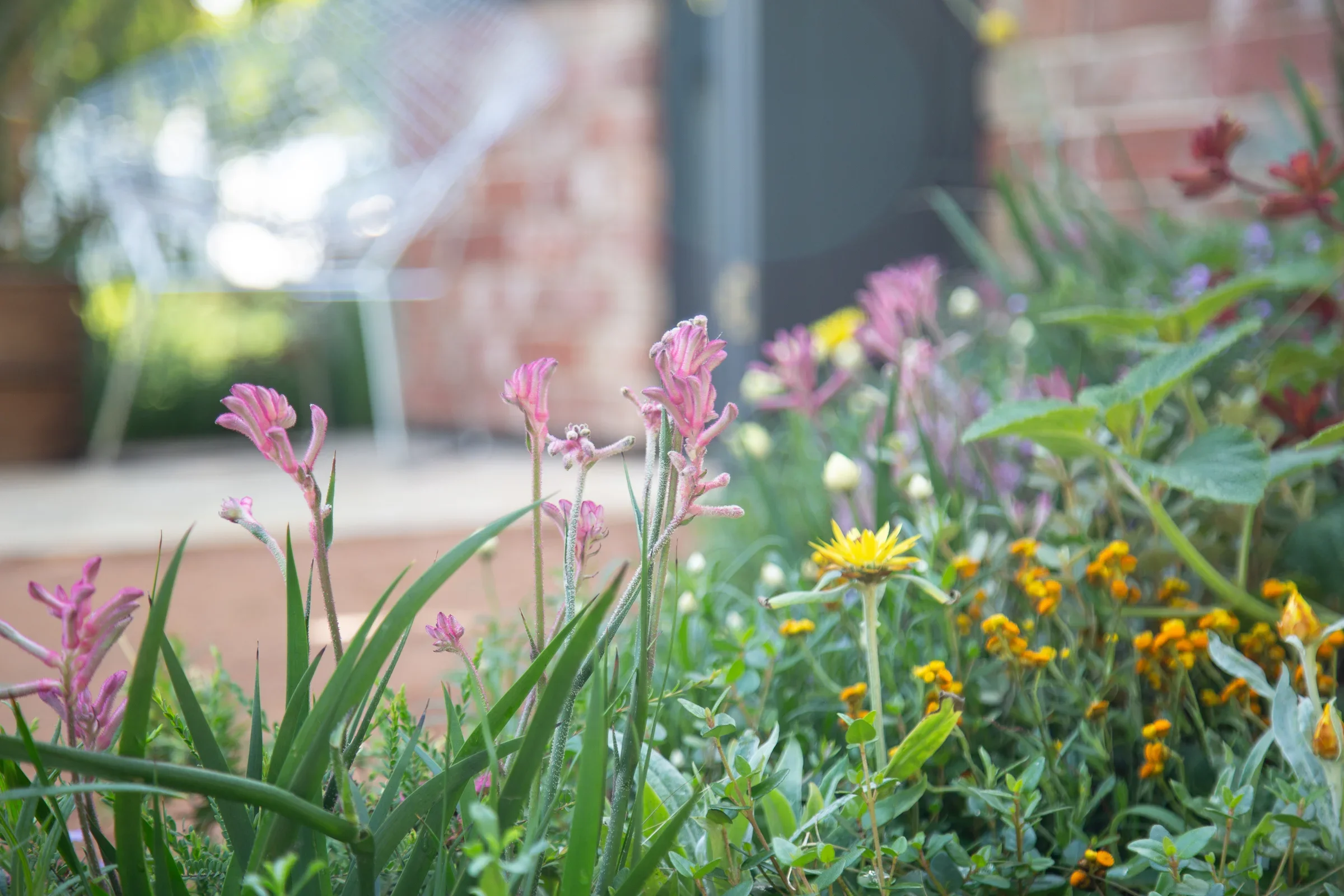 MIFGS_2026_Boutique Garden-34.webp