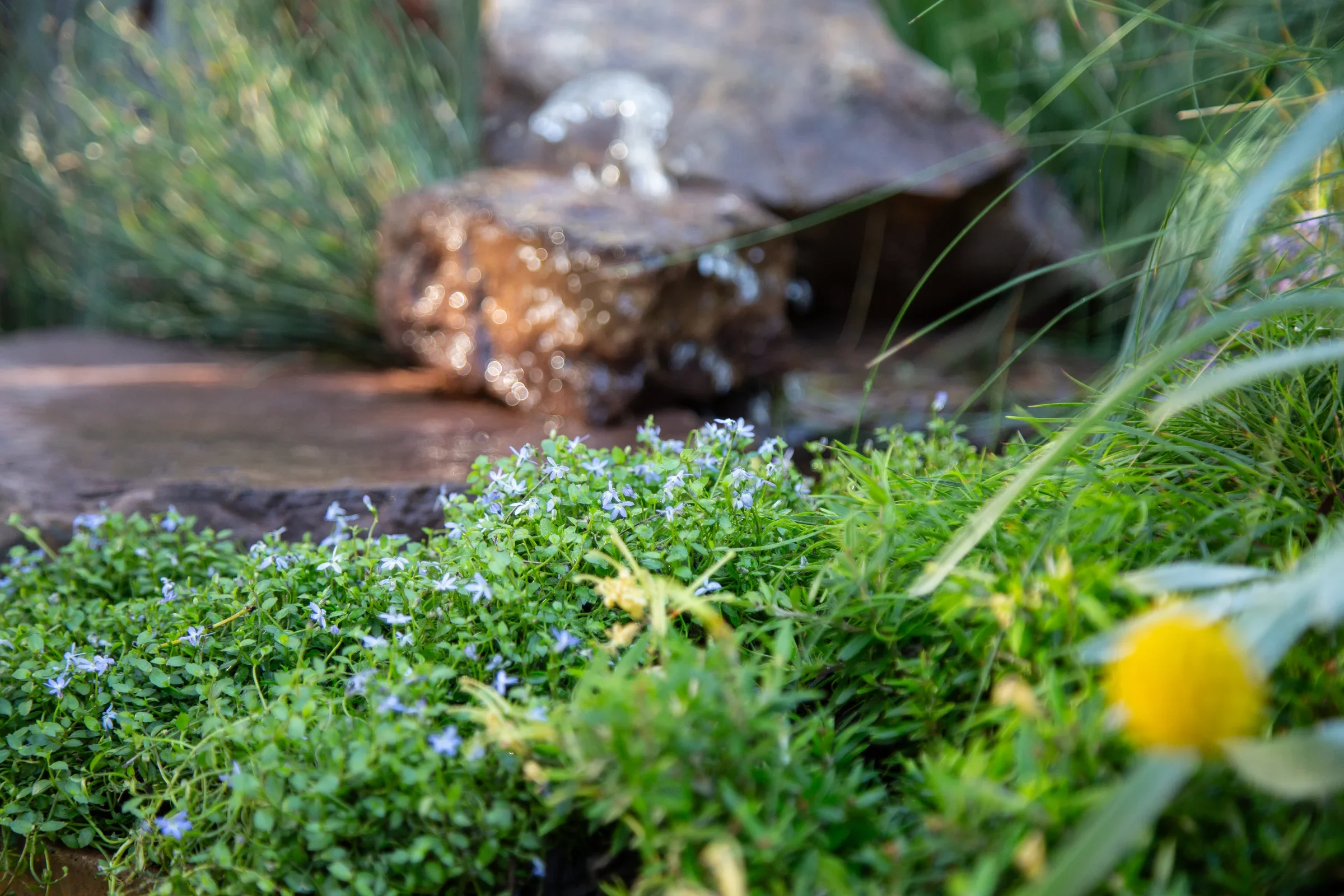 MIFGS_2026_Boutique Garden-17.webp